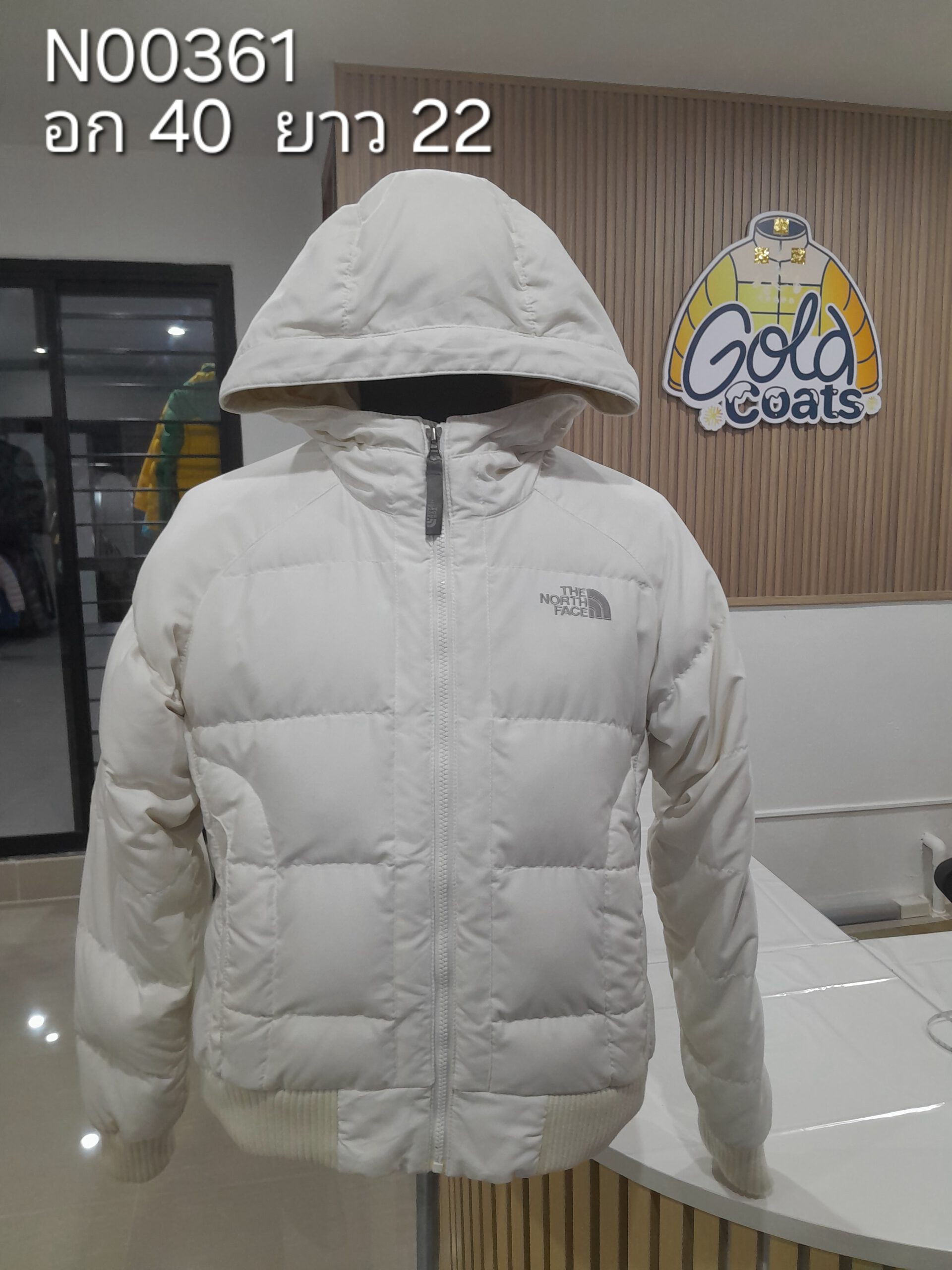 N00361 The North face