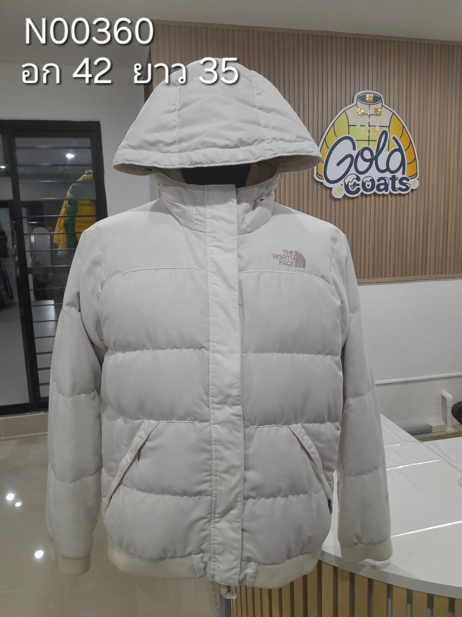 N00360 The North face