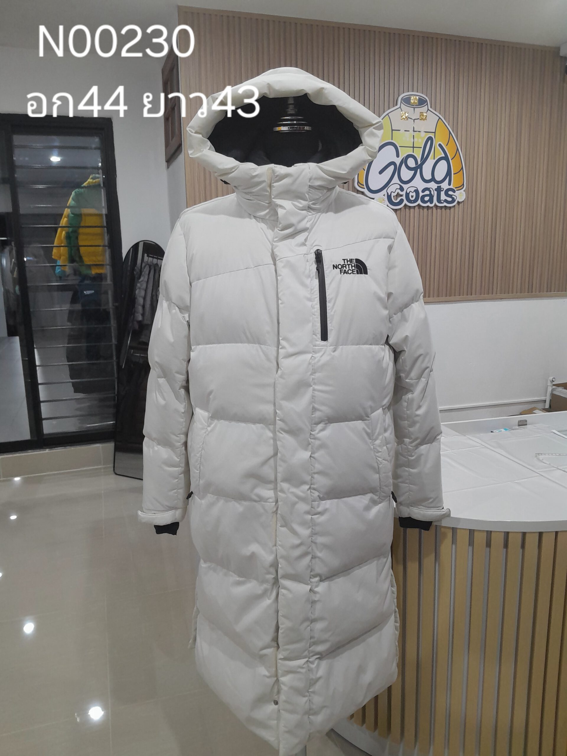 N00230 The North face