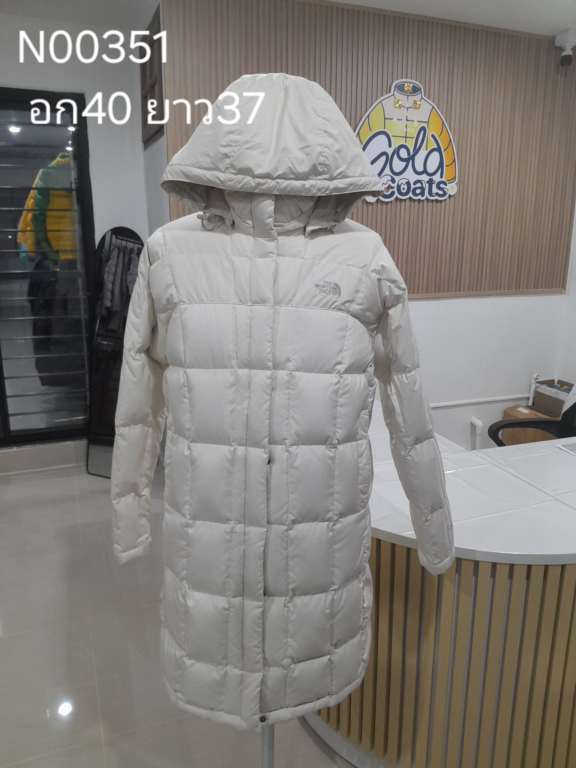 N00351 The North face