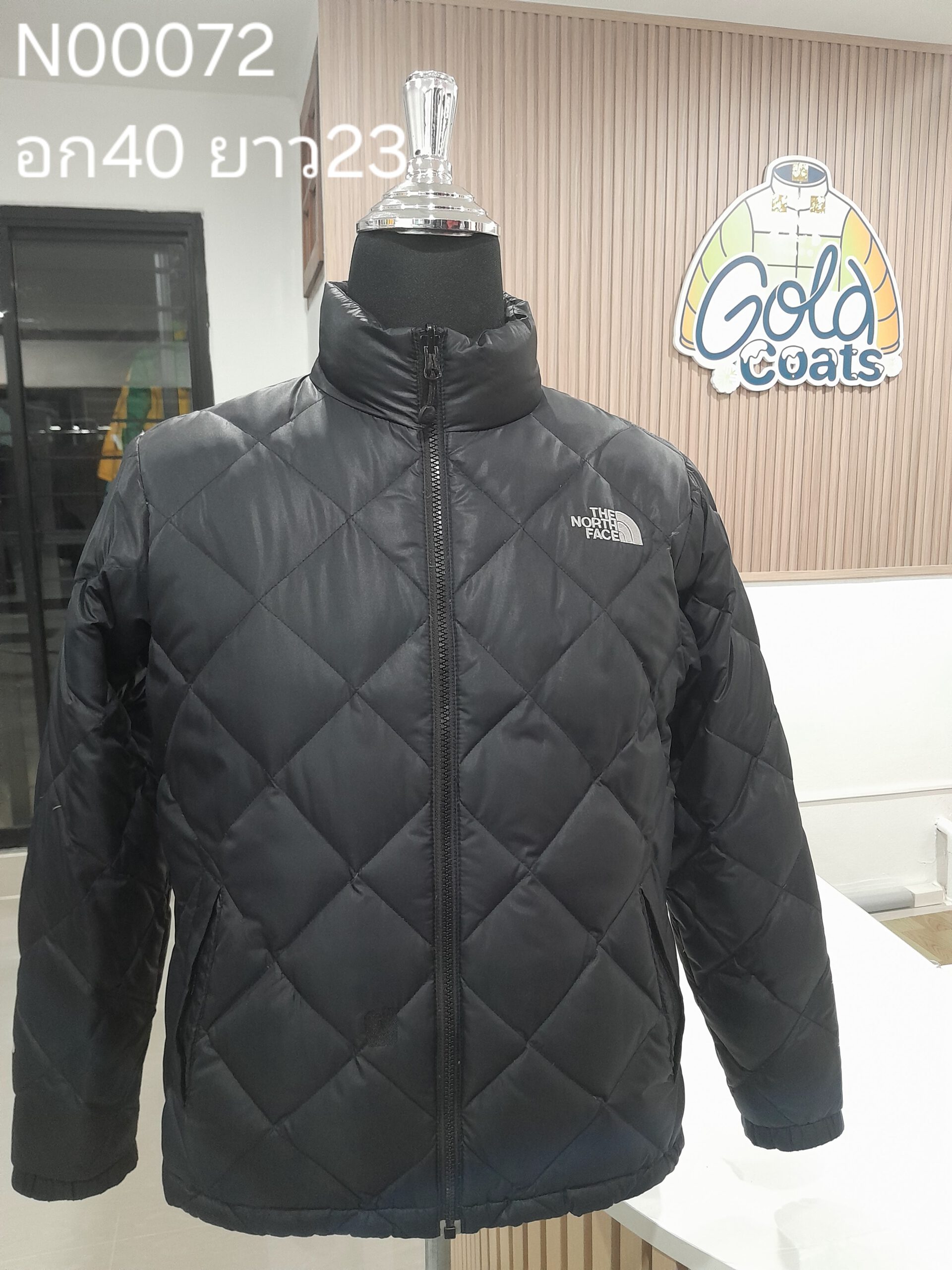 N00072 The North face