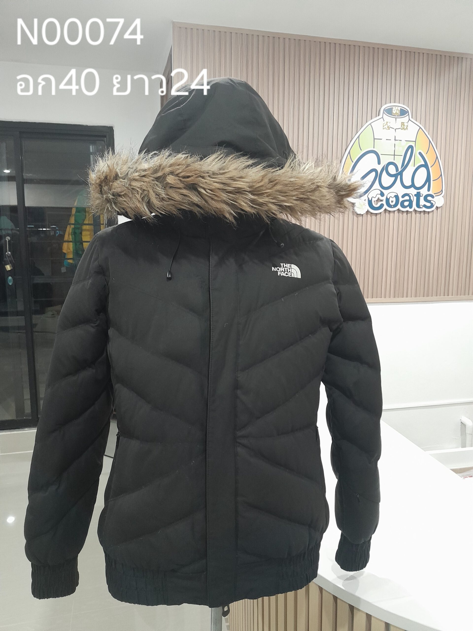 N00074 The North face