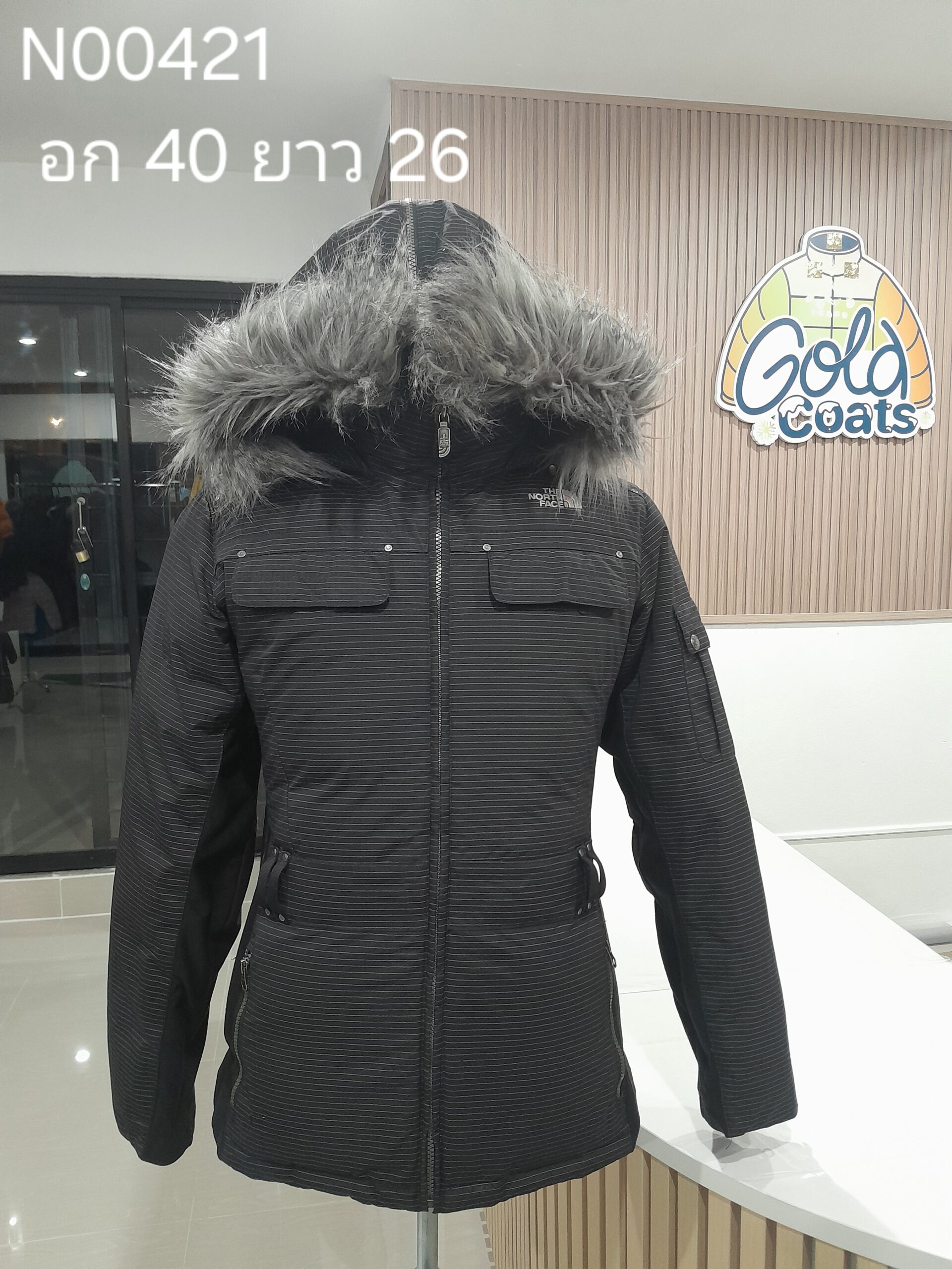 N00421 The North face