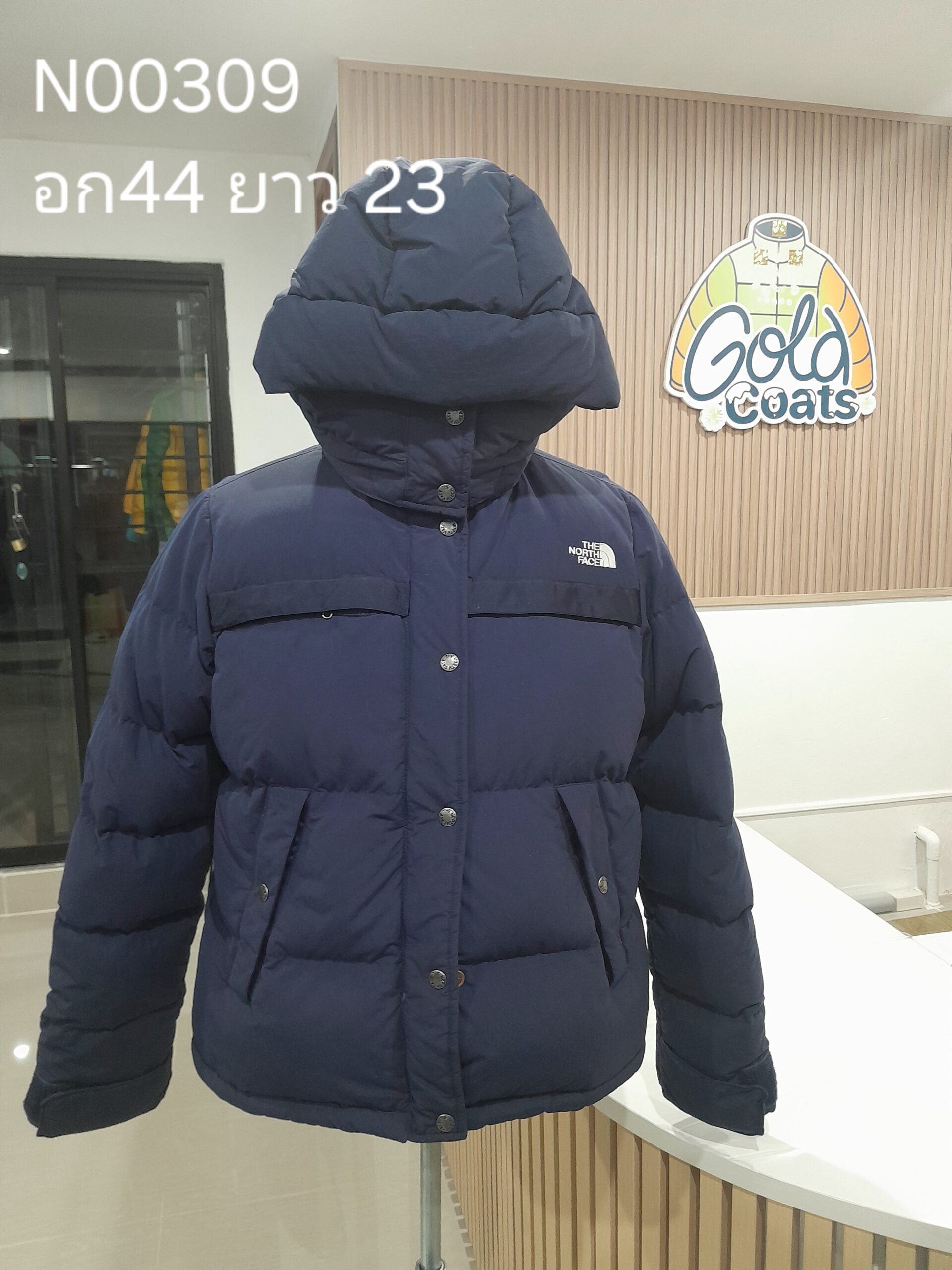 N00309 The North face