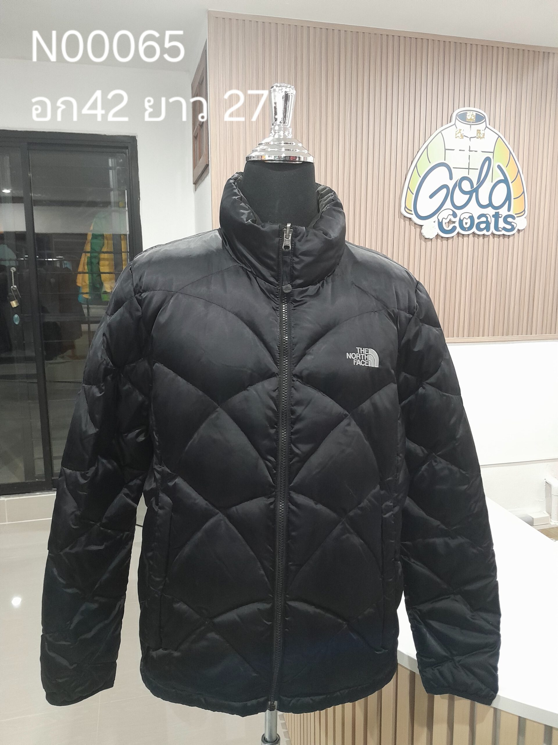 N00065 The North face