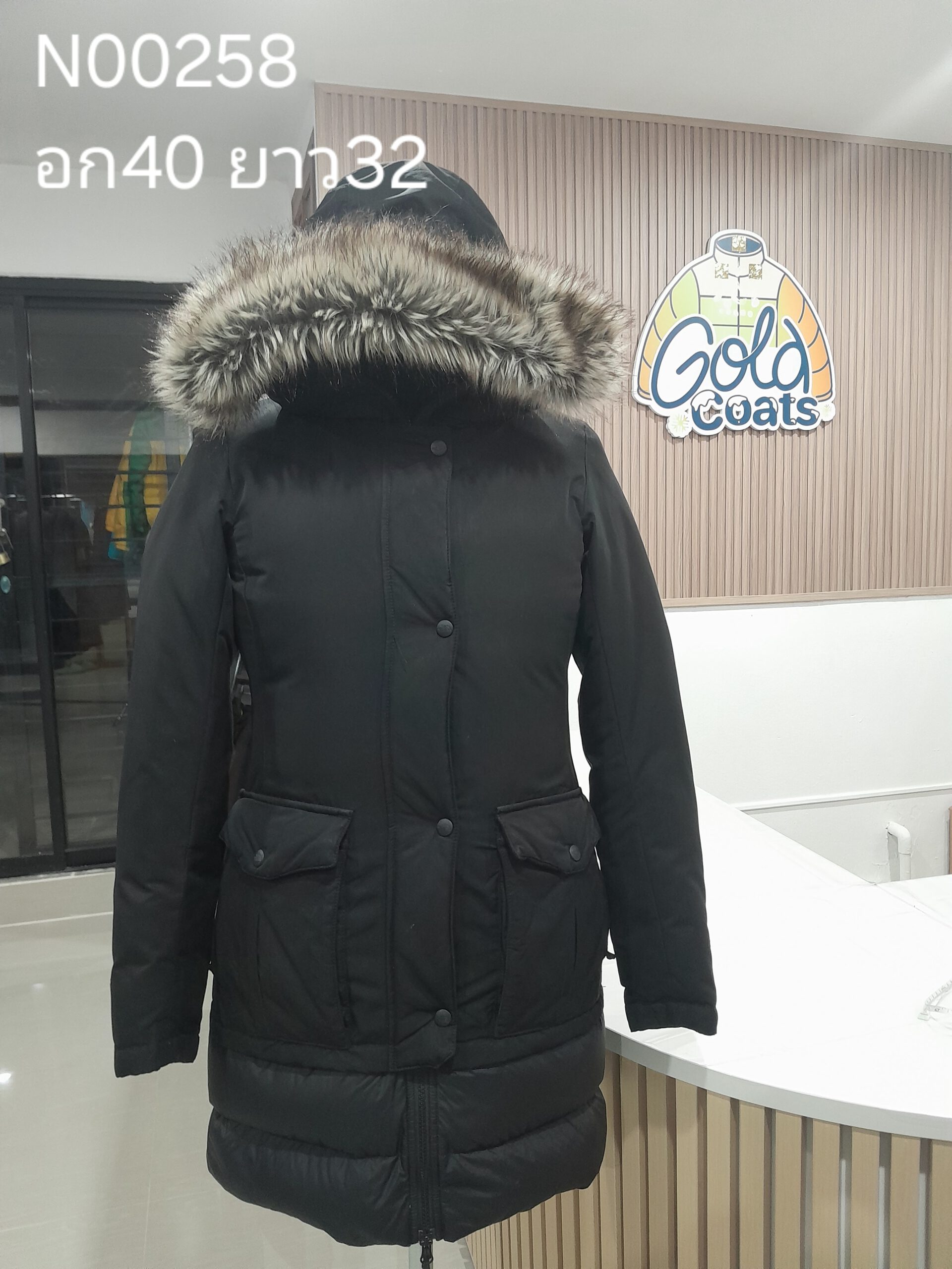 N00258 The North face