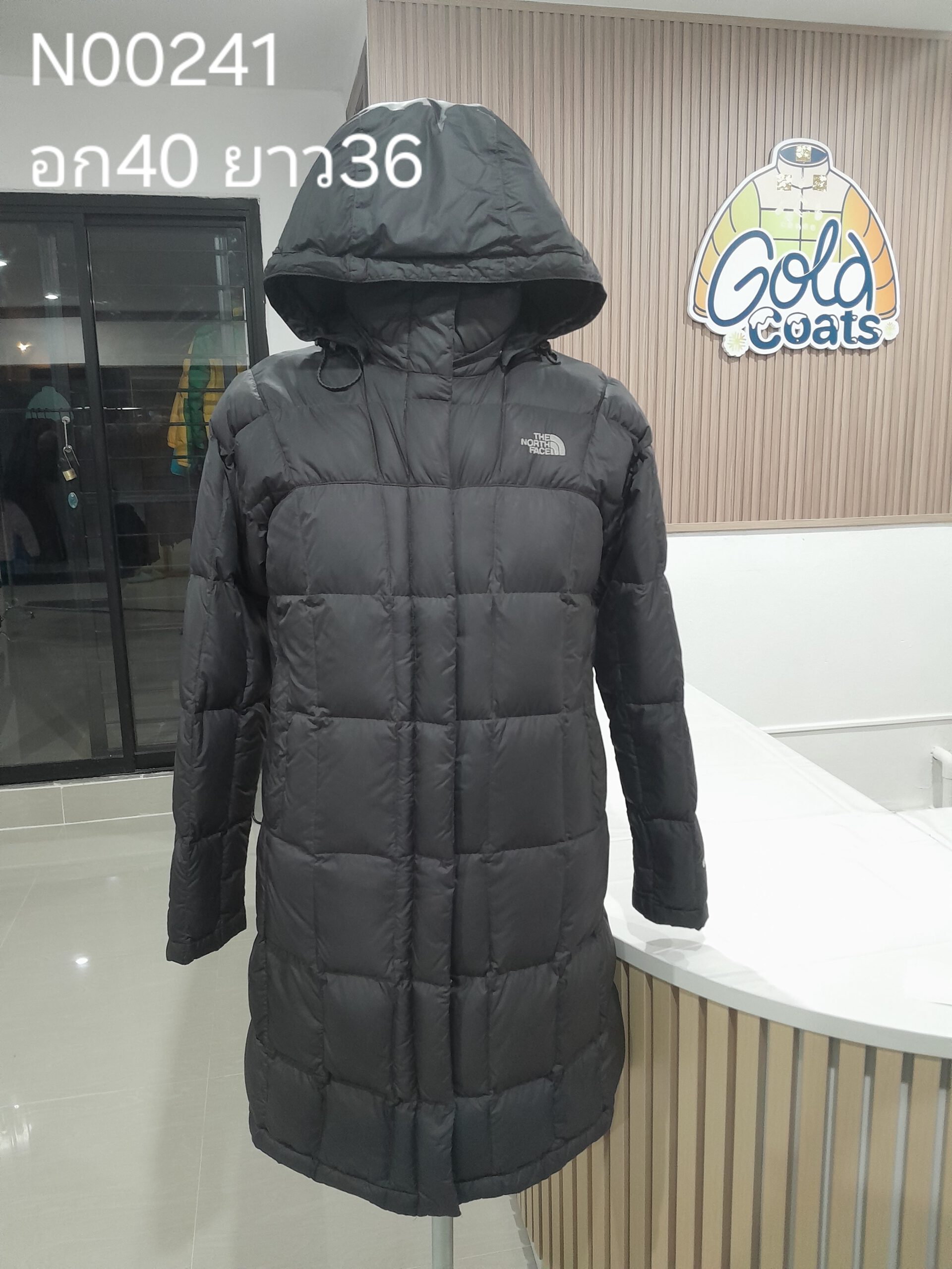 N00241 The North face