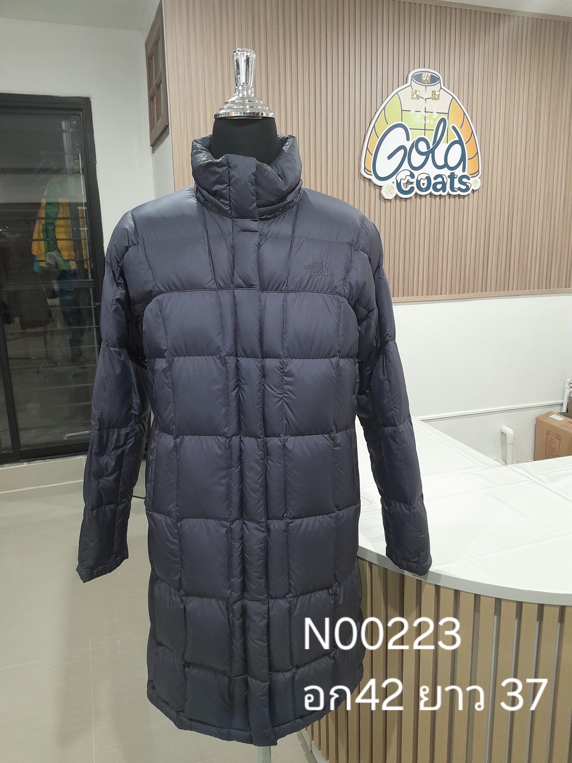 N00223 The North face