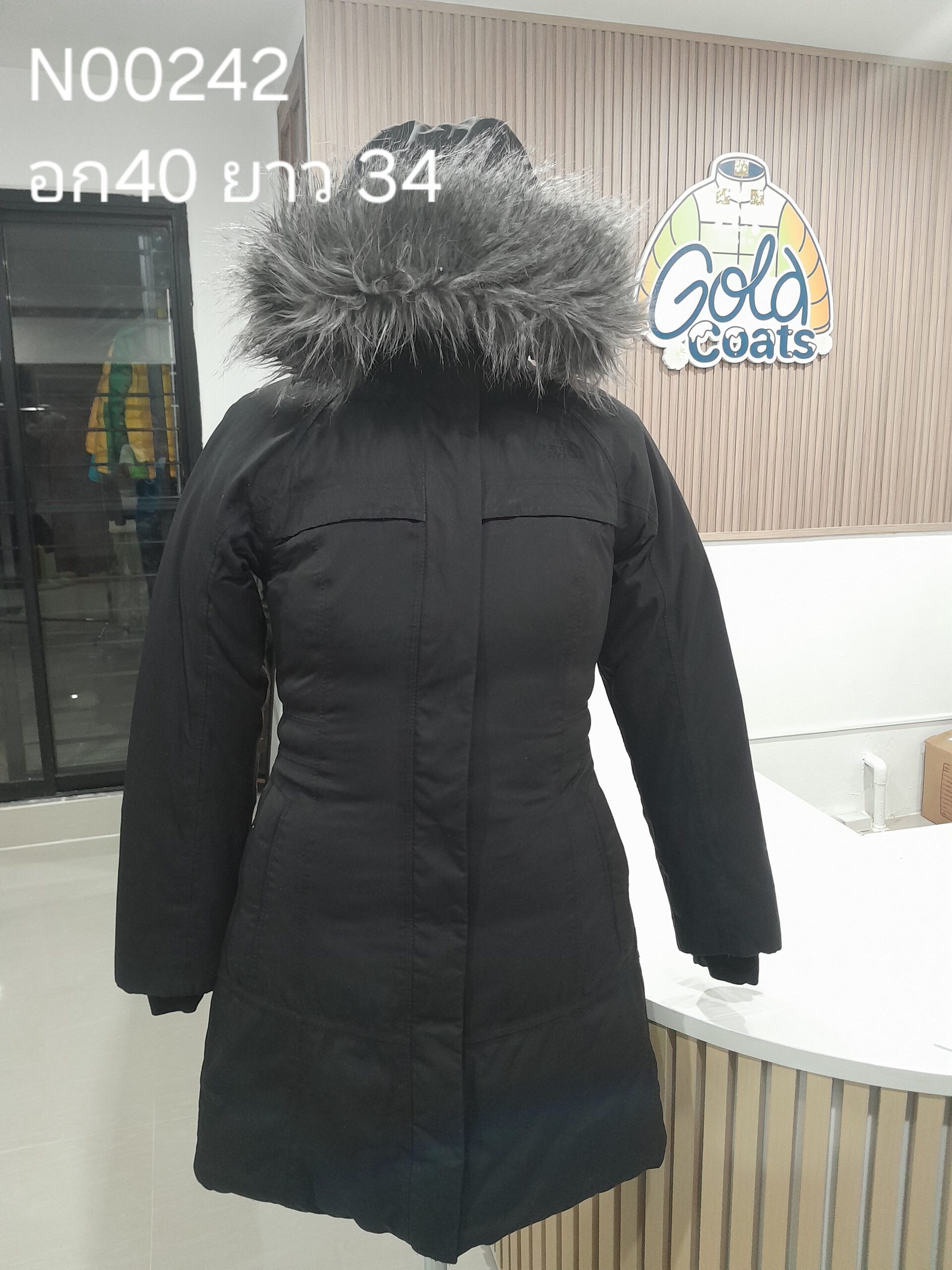 N00242 The North face