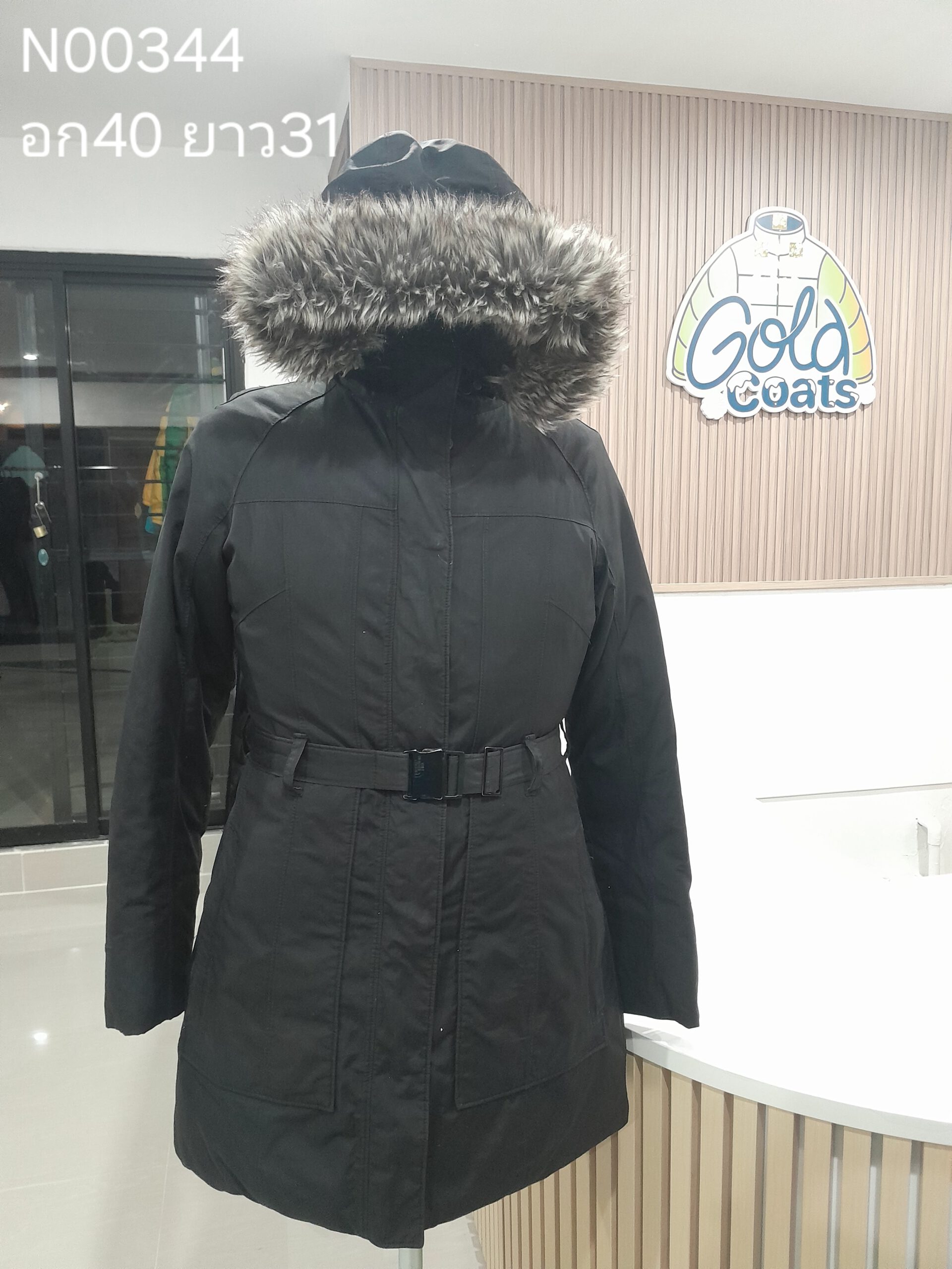 N00344 The North face