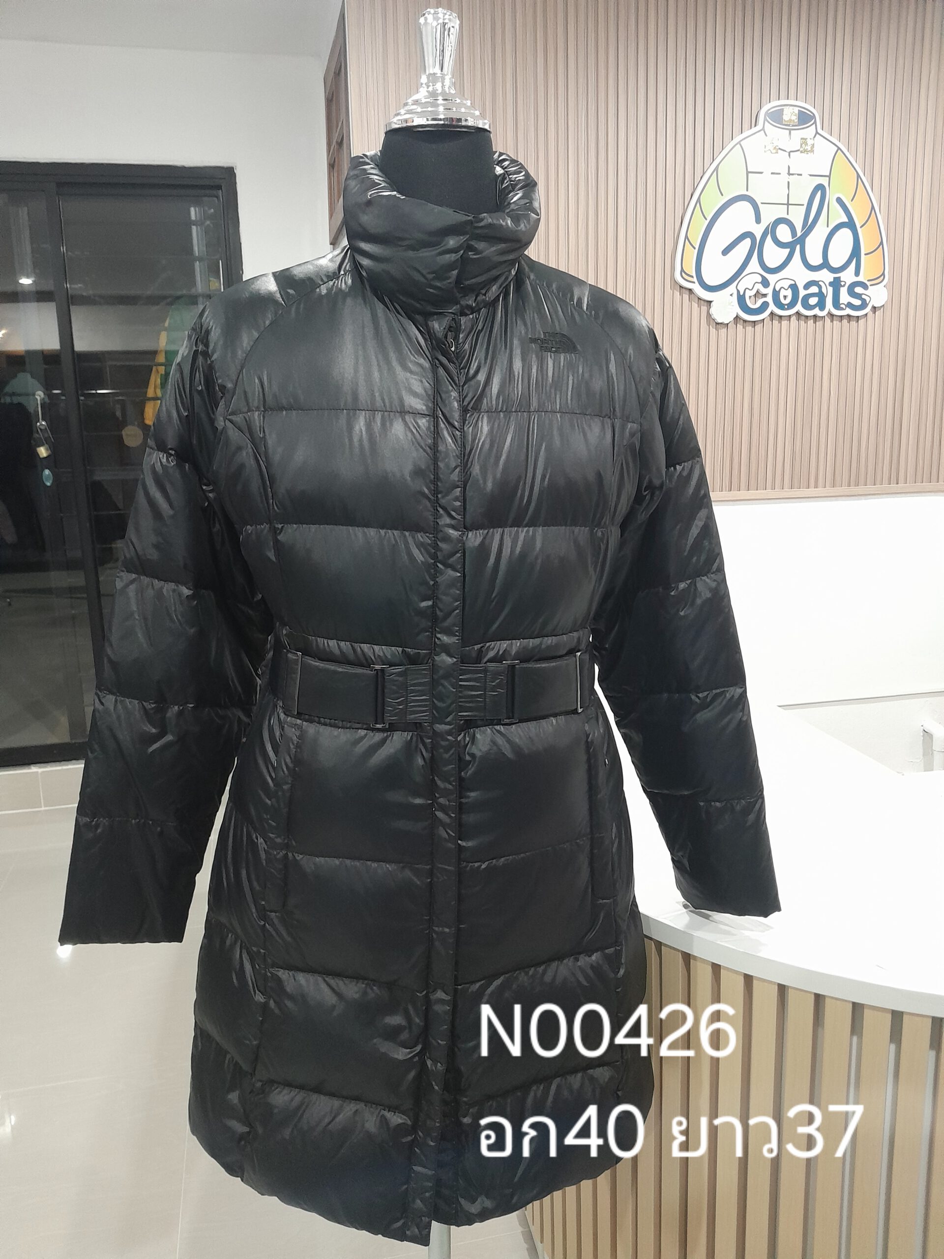 N00426 The North face