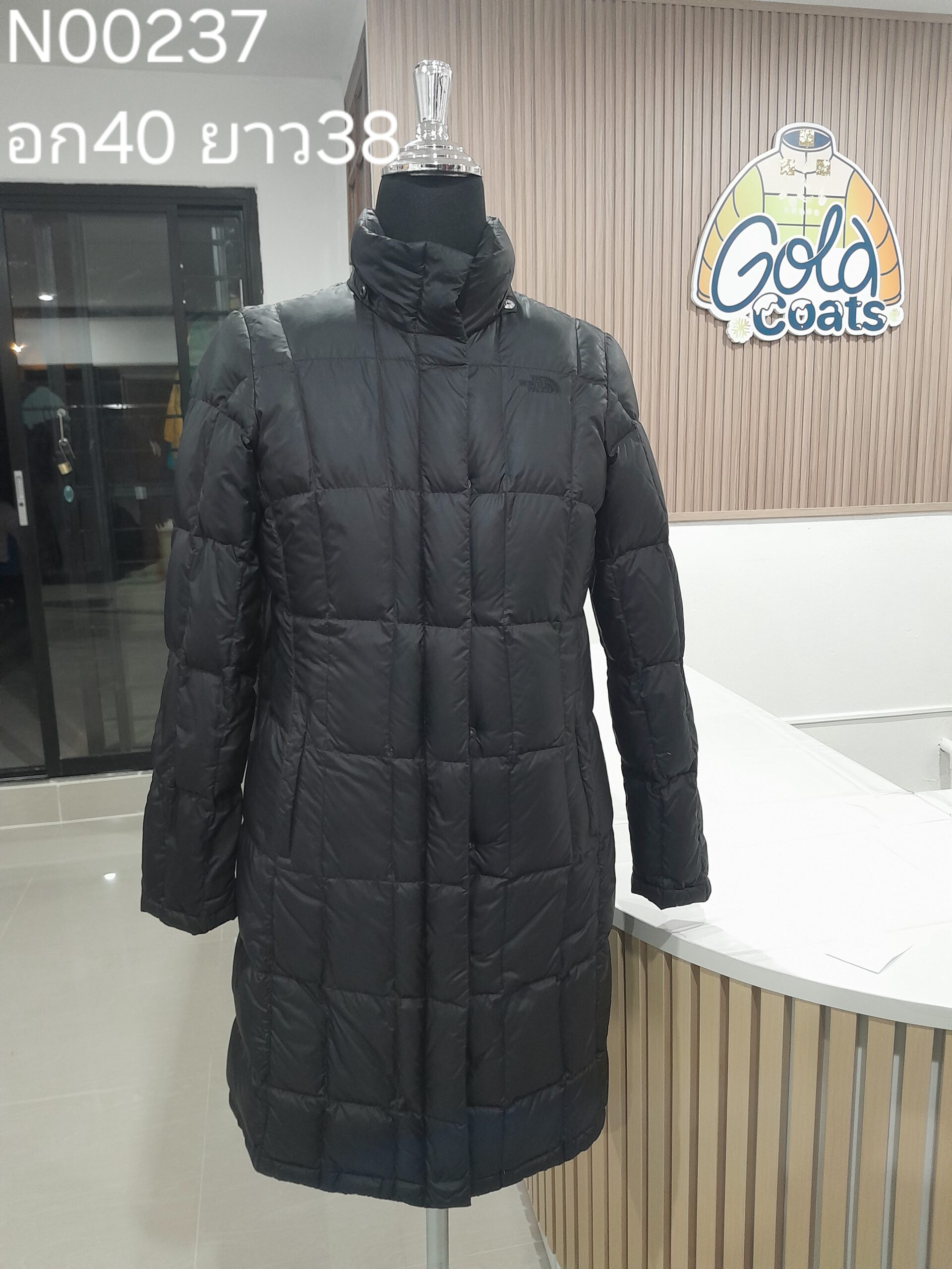 N00237 The North face