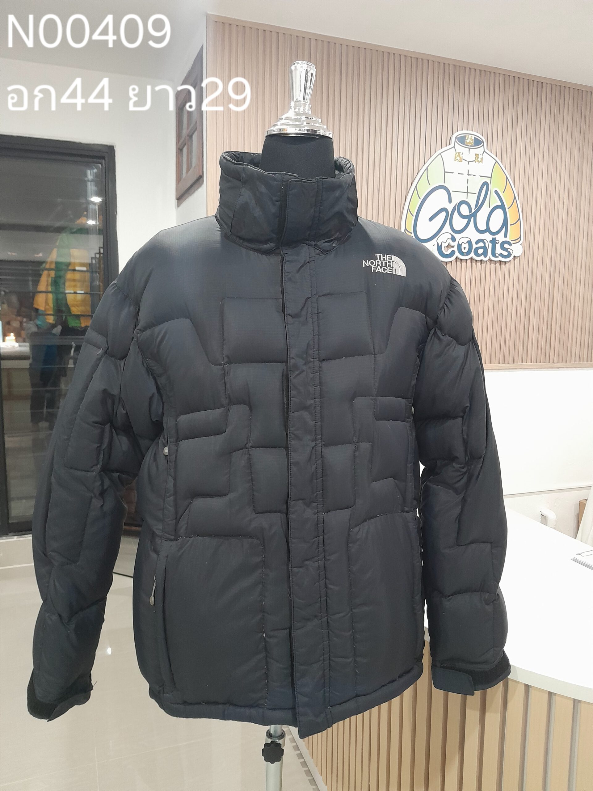 N00409 The North face