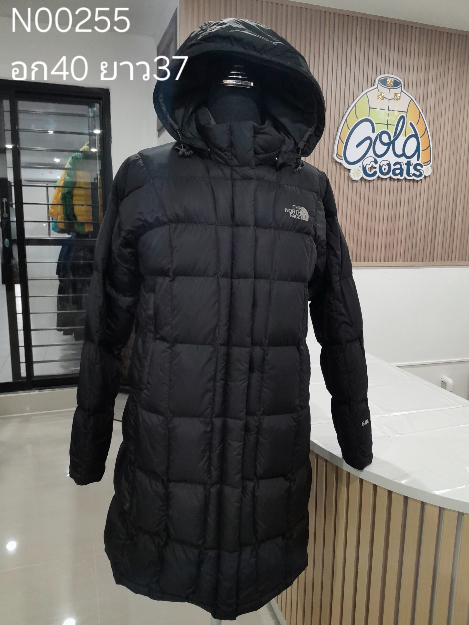 N00255 The North face