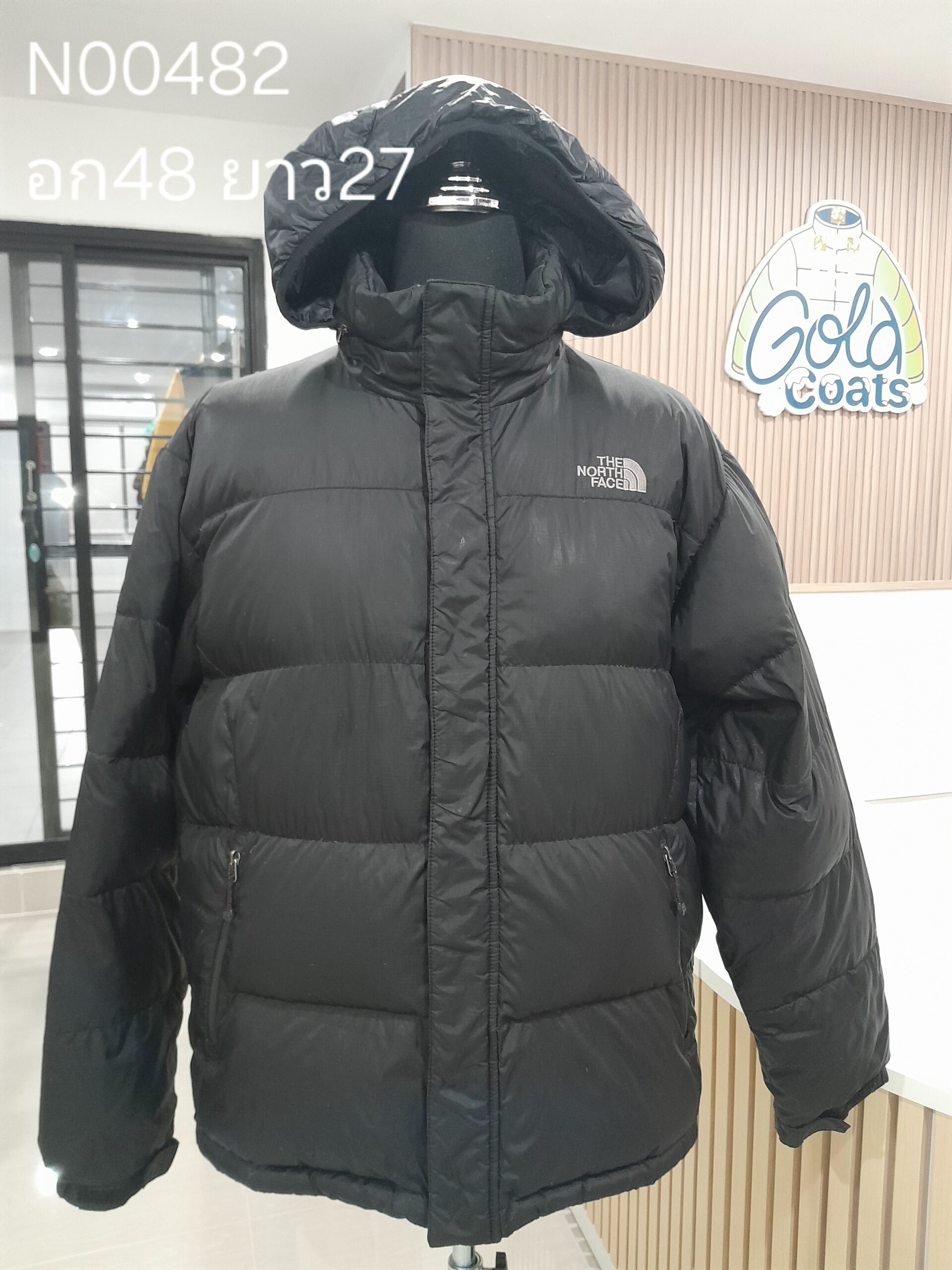 N00482 The North face