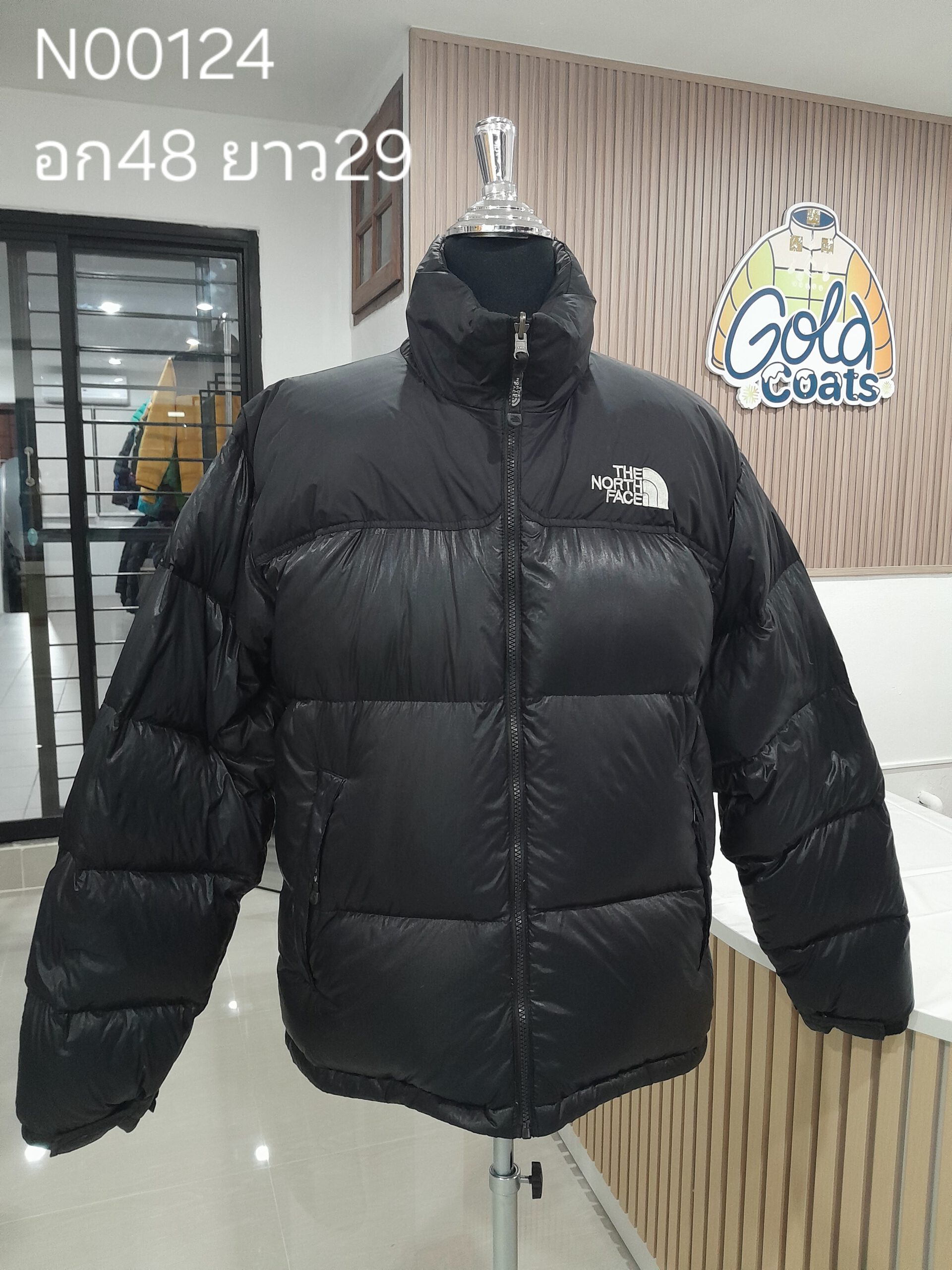 N00124 The North face