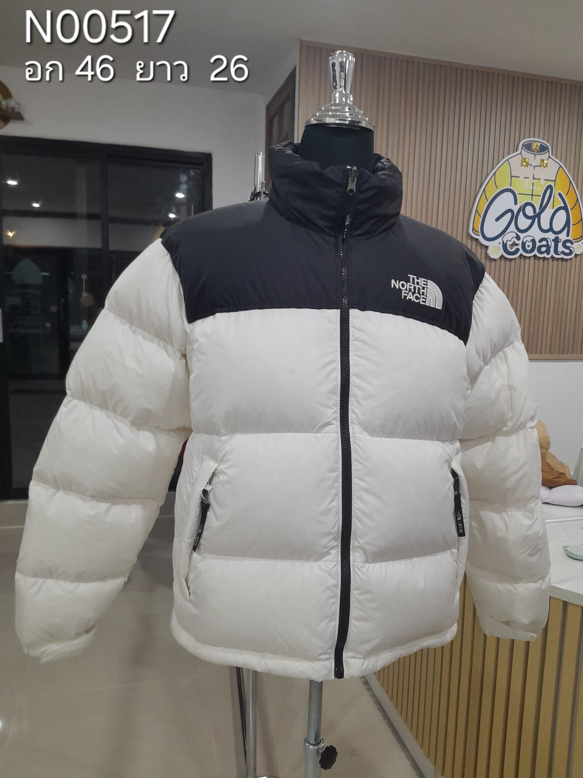 N00517 The North face