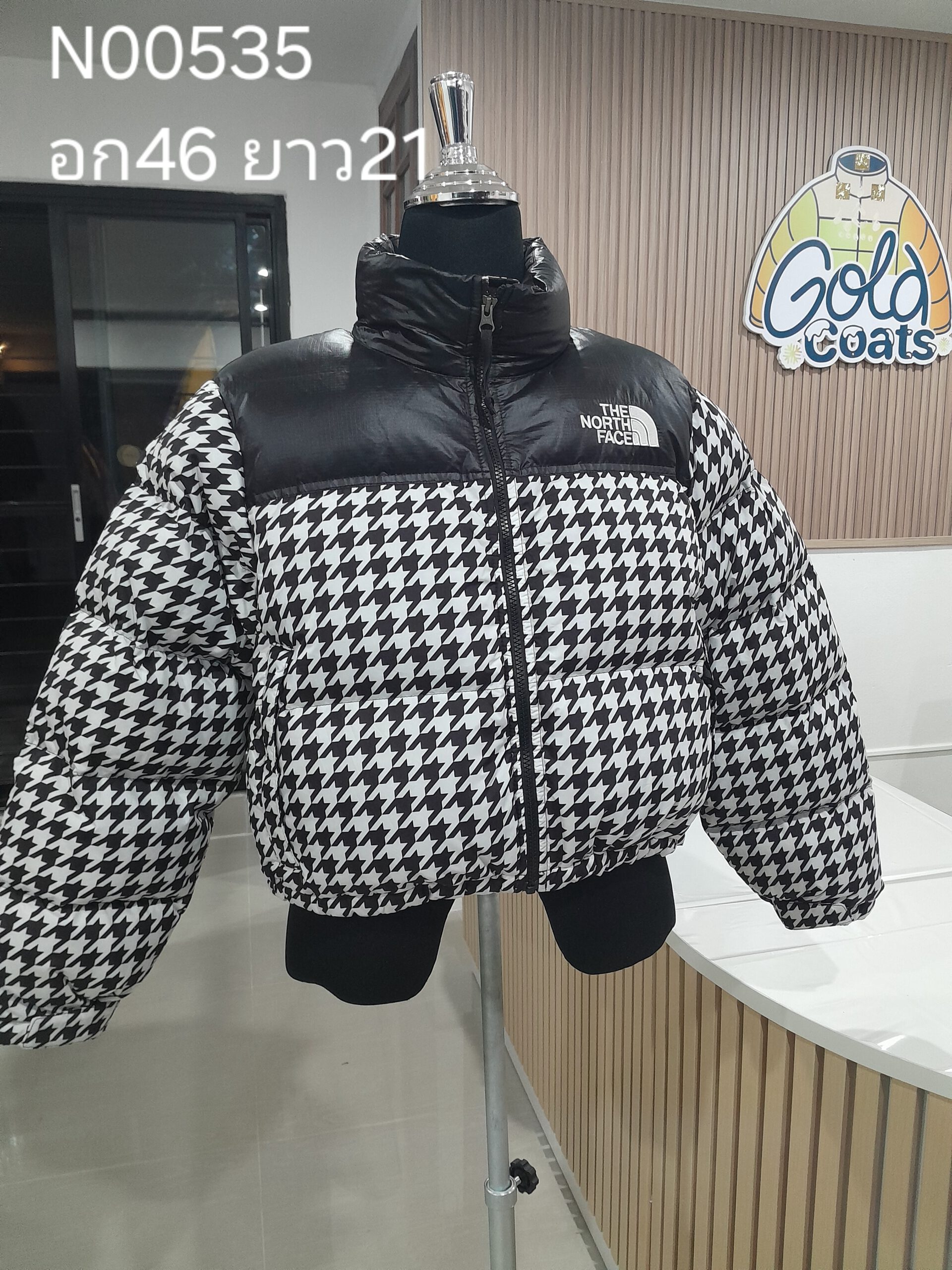 N00535 The North face