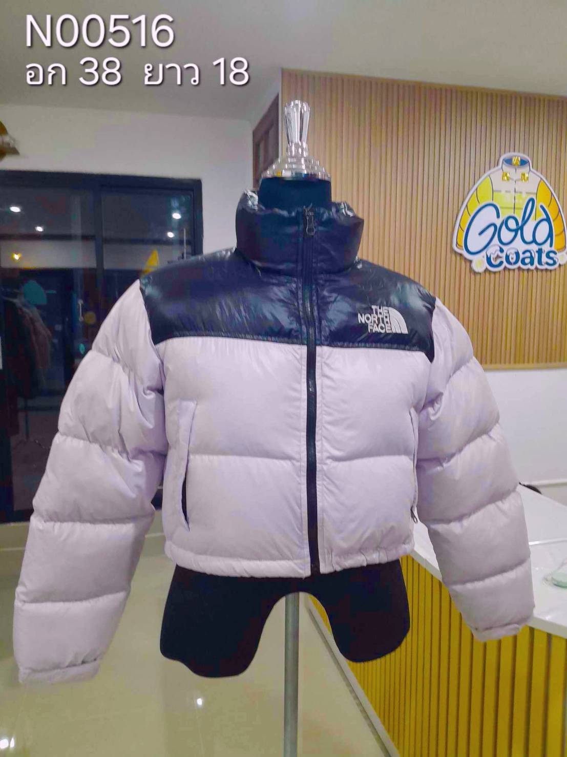 N00516 The North face