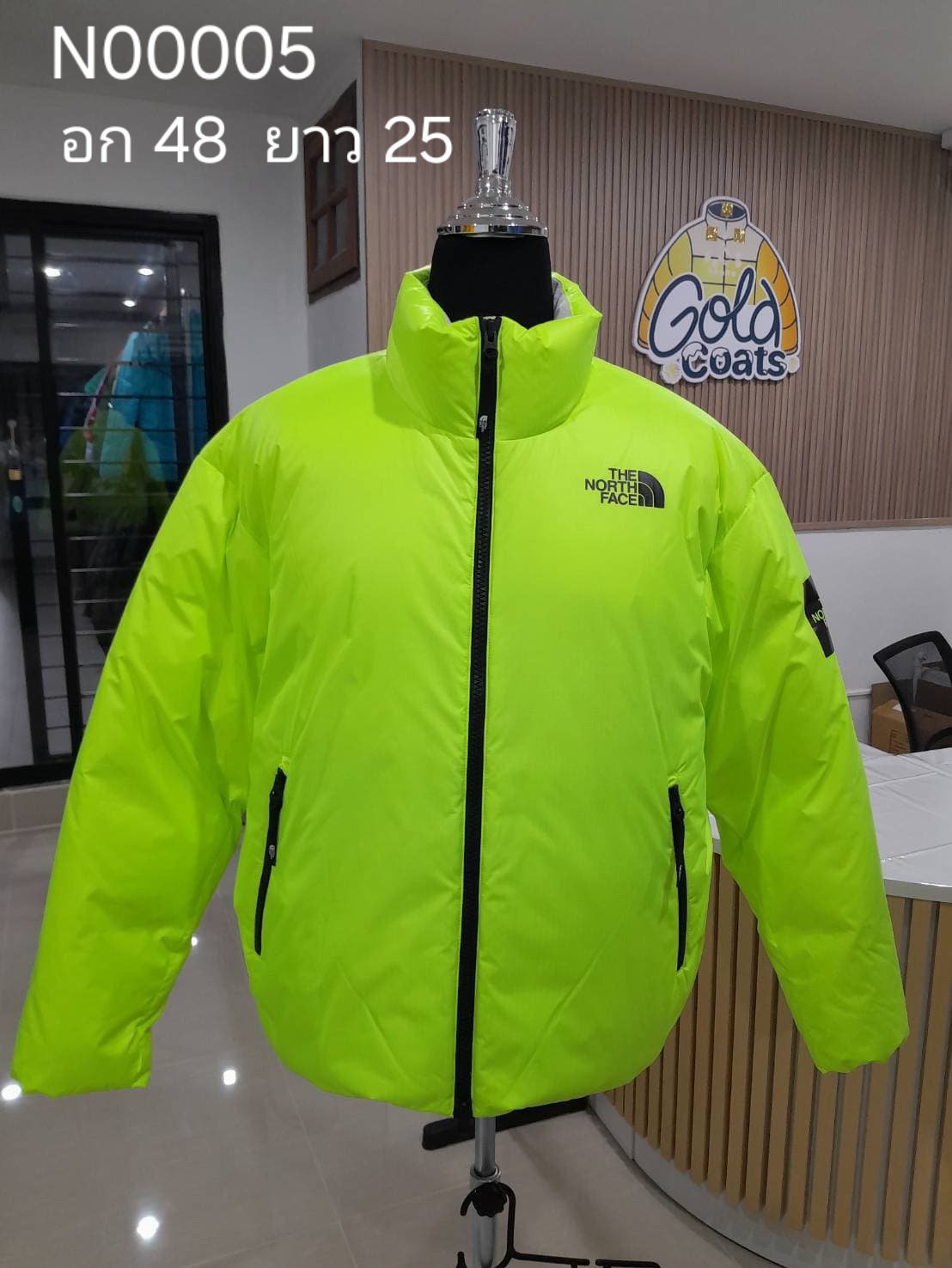 N00005 The North face