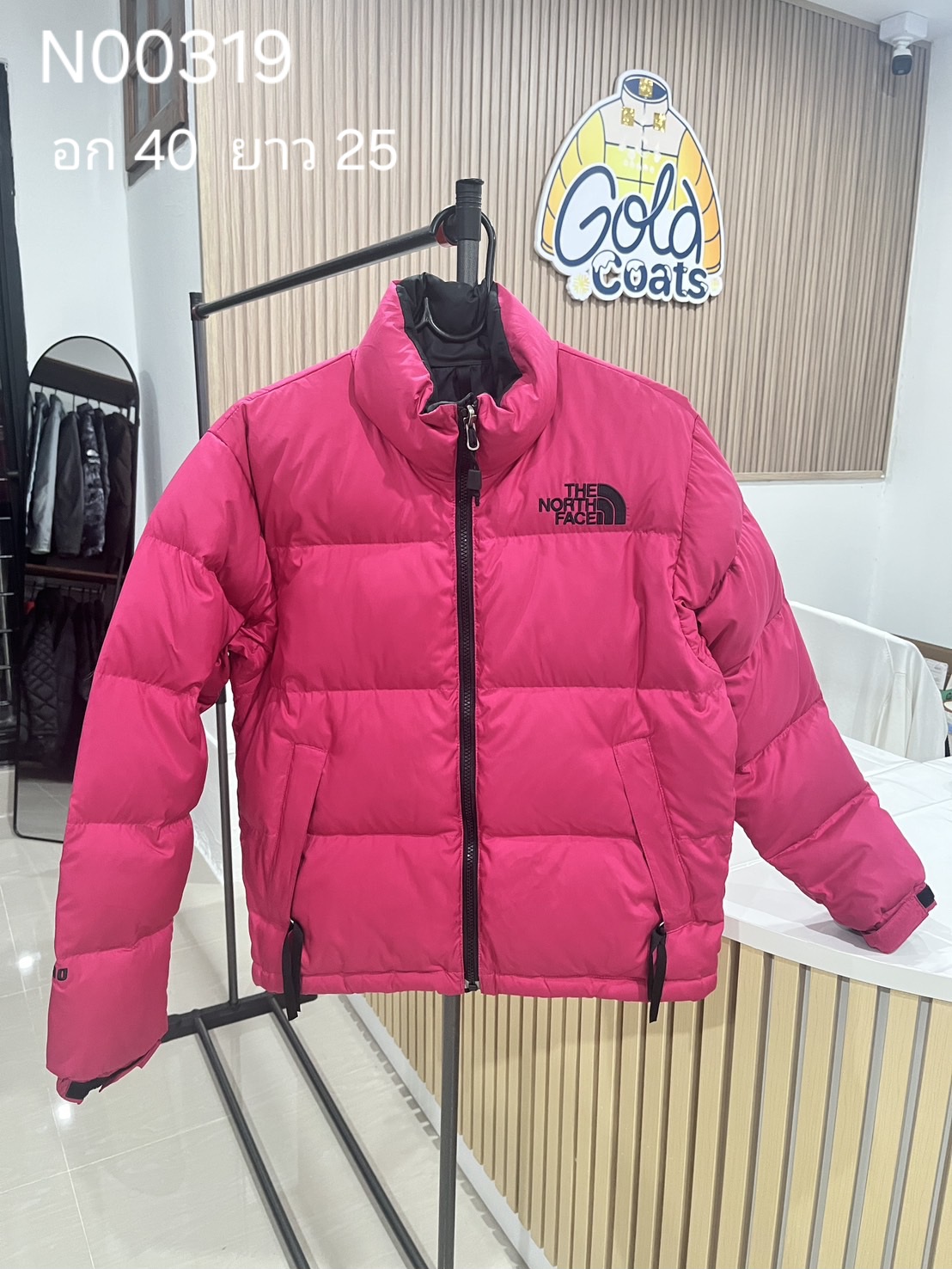 N00319 The North face