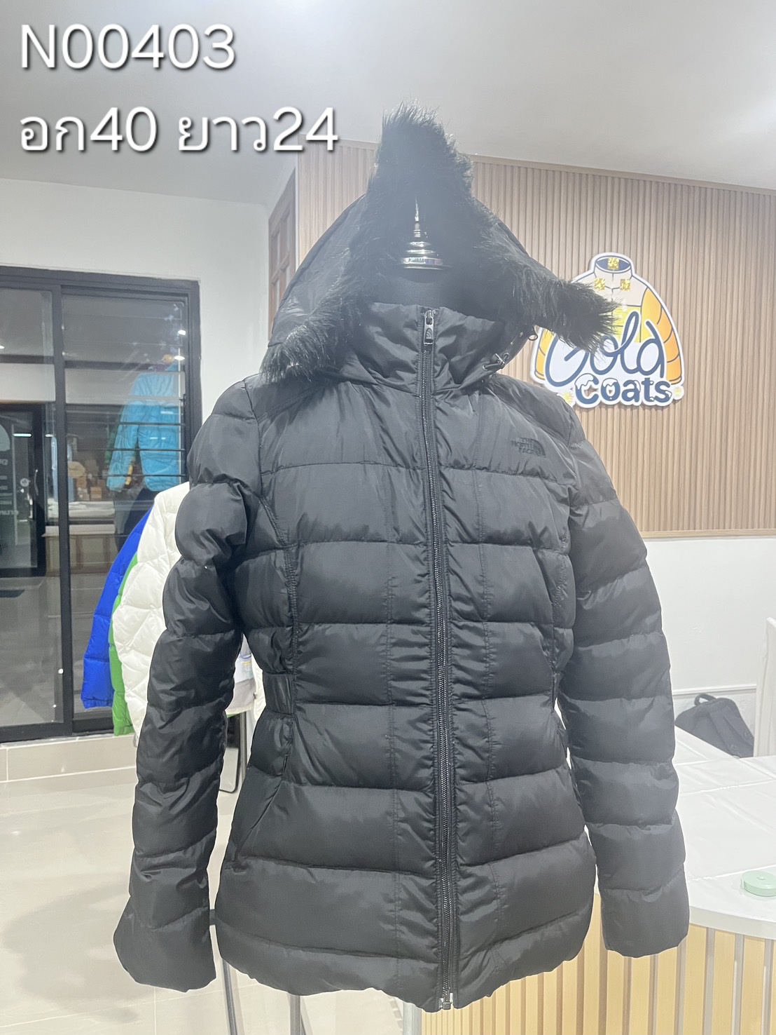 N00403 The North face