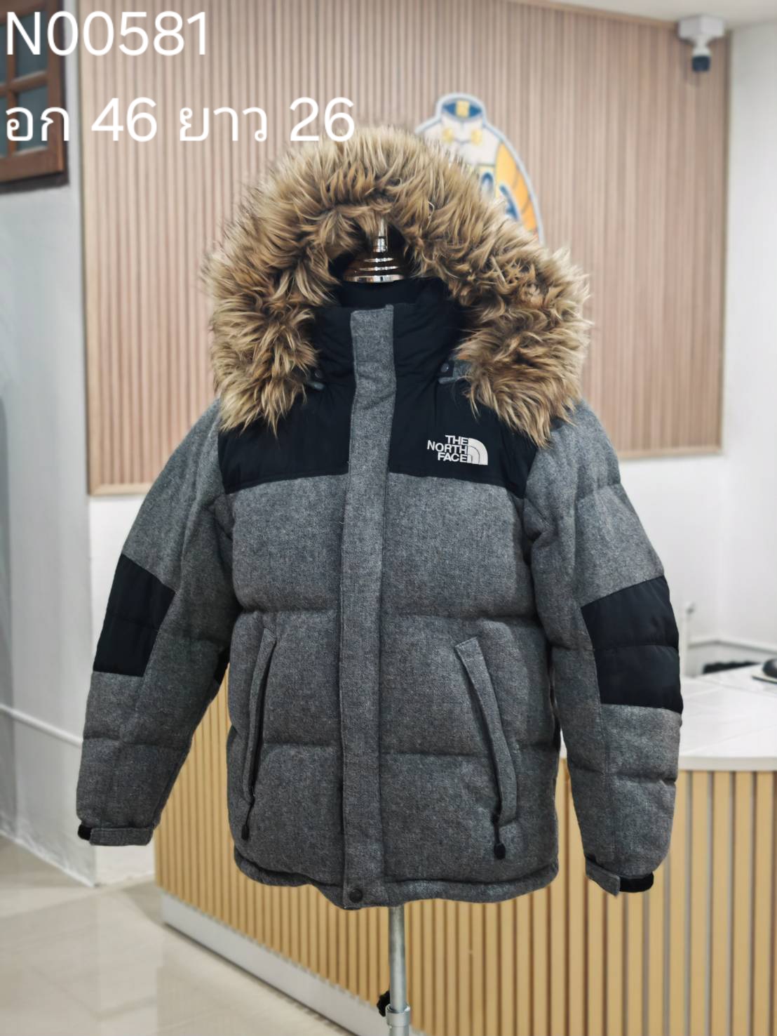 N00581 The North face
