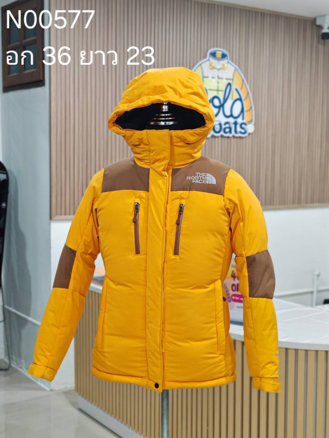 N00577 The North face