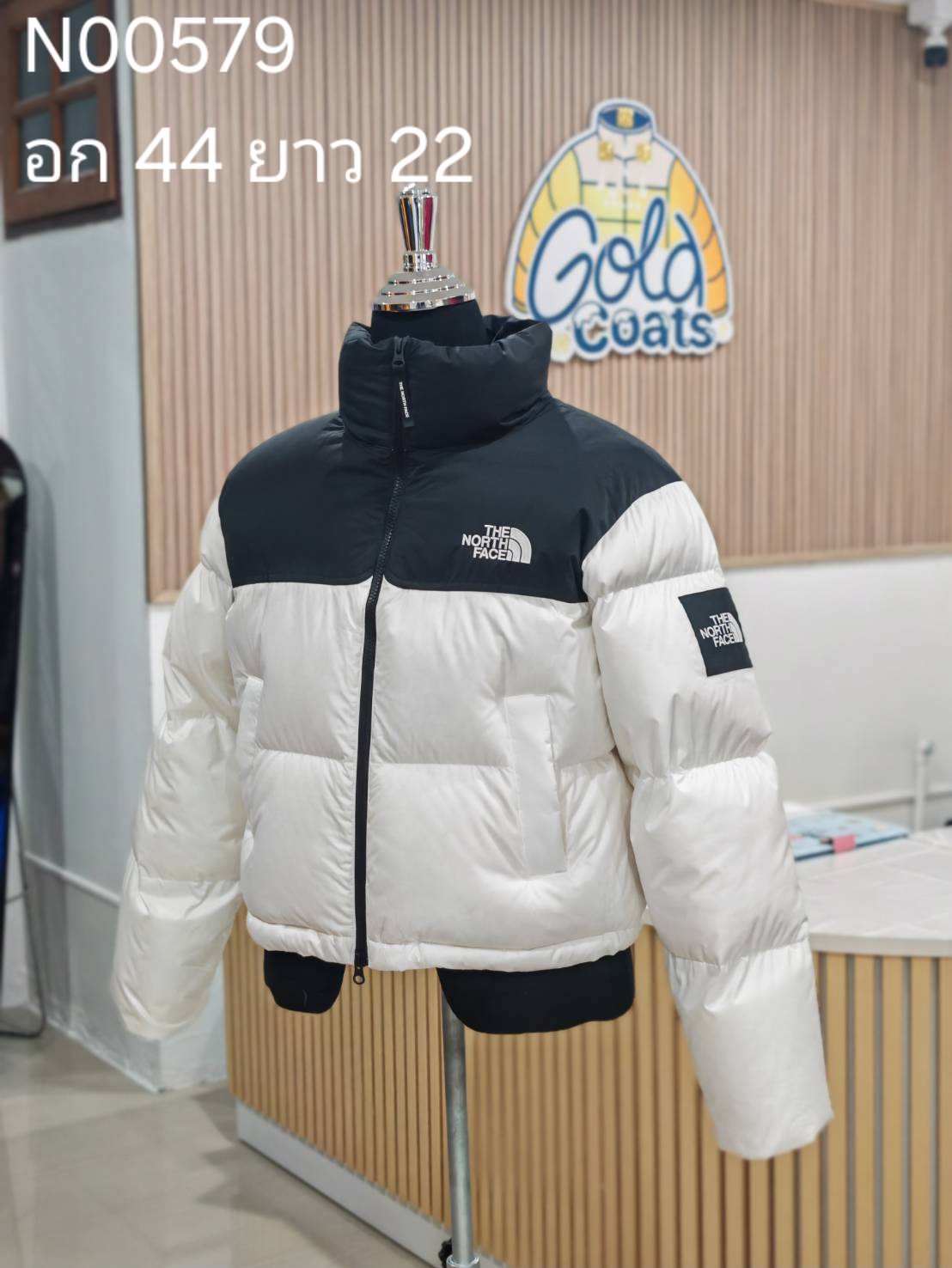 N00579 The North face