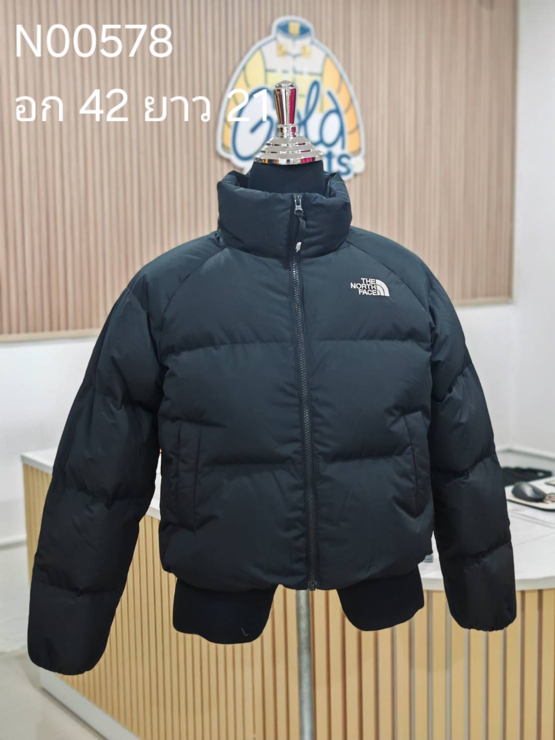 N00578 The North face