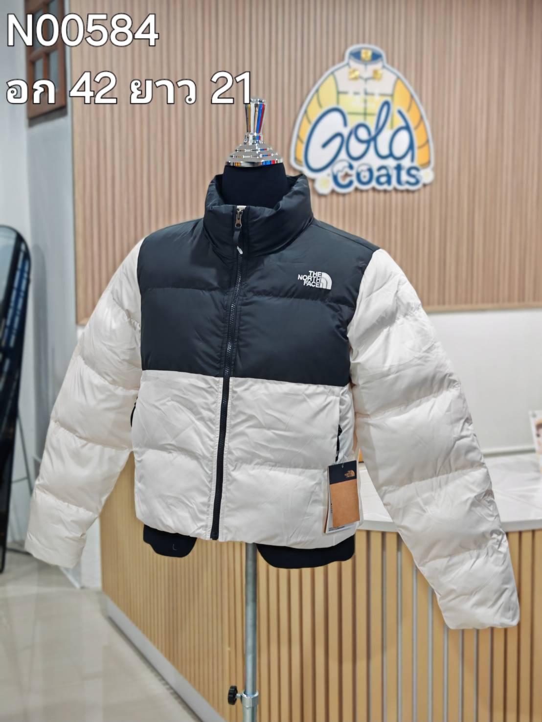 N00584 The North face