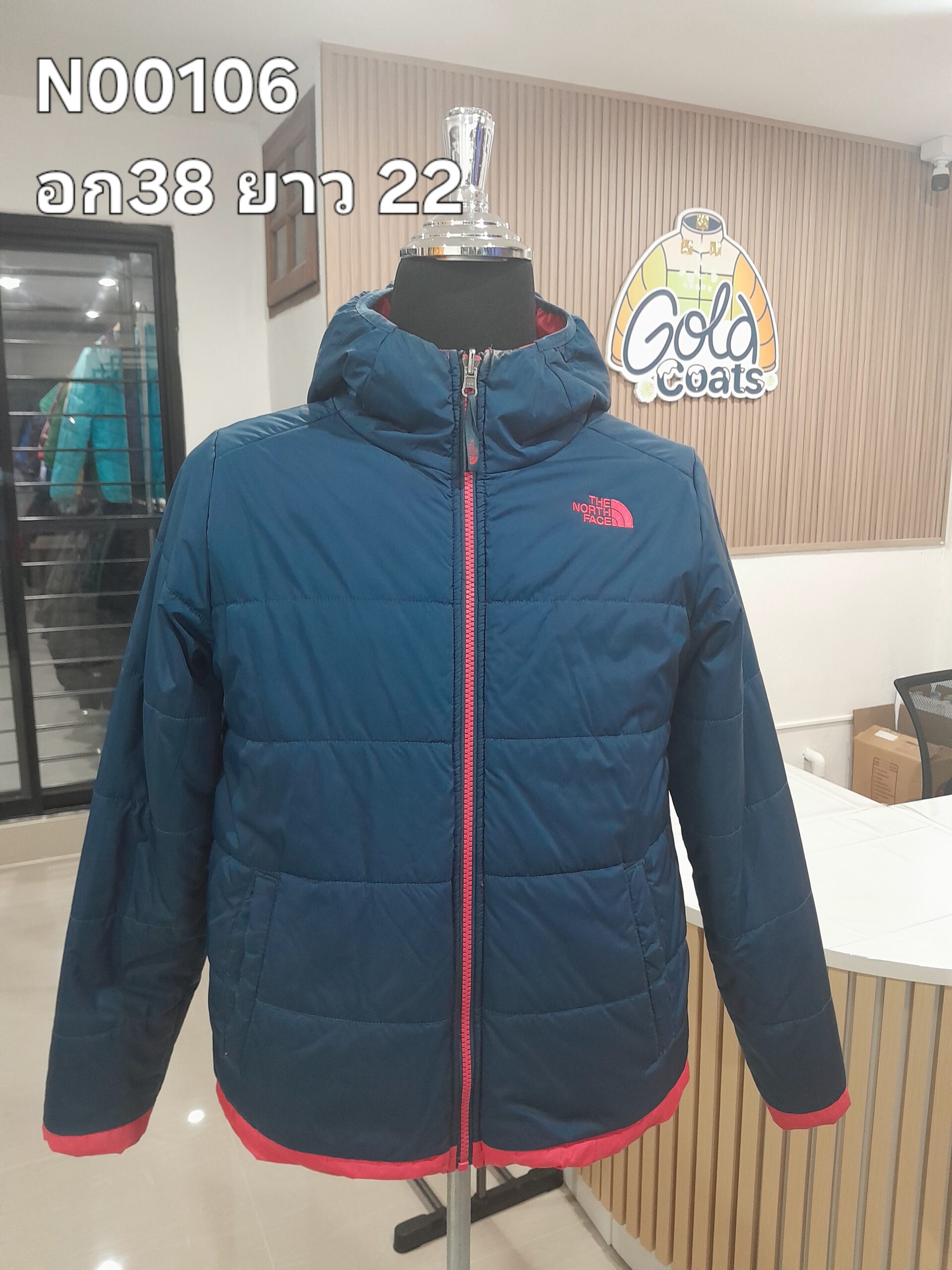 N00106 The North face