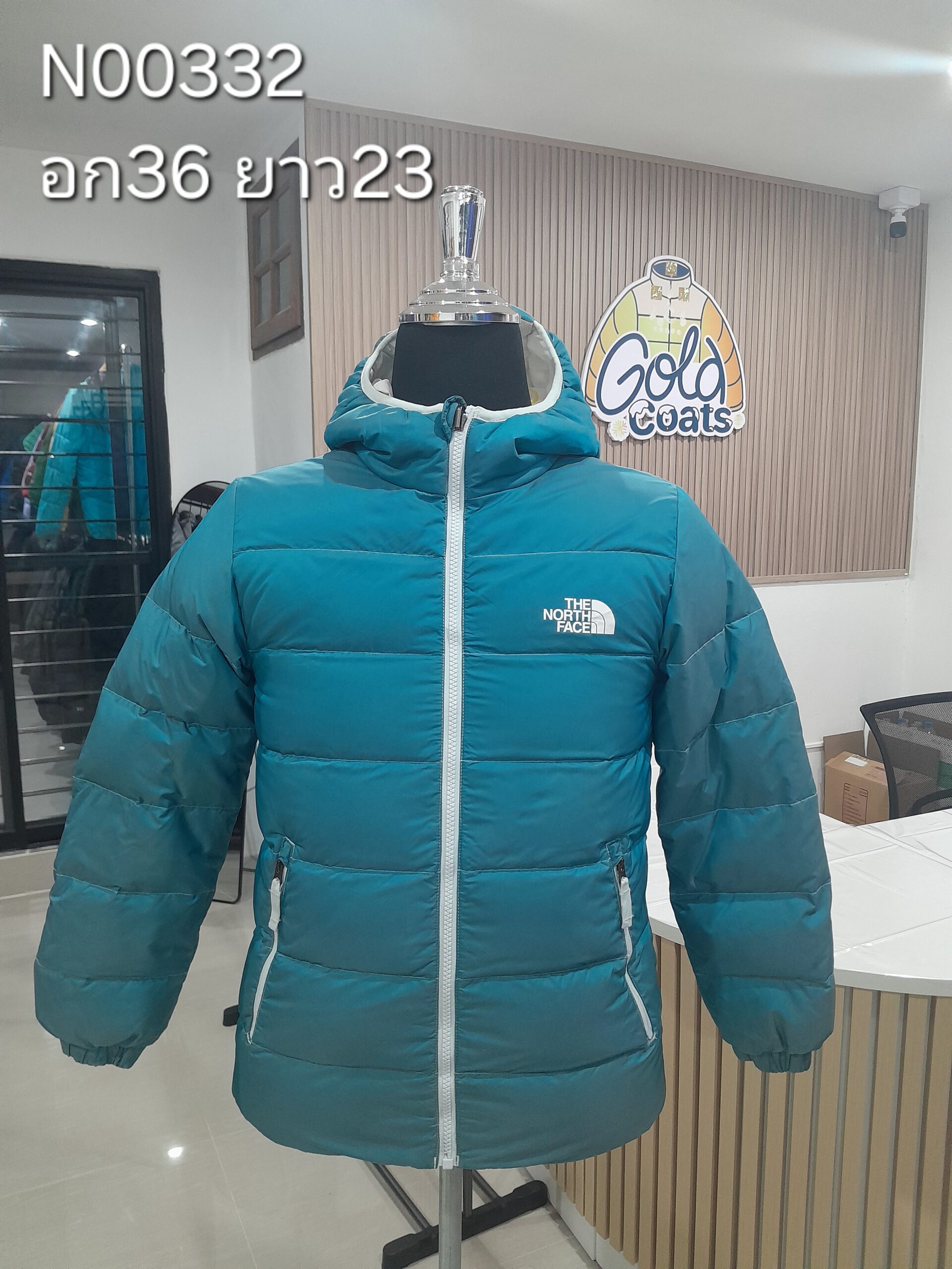 N00332 The North face