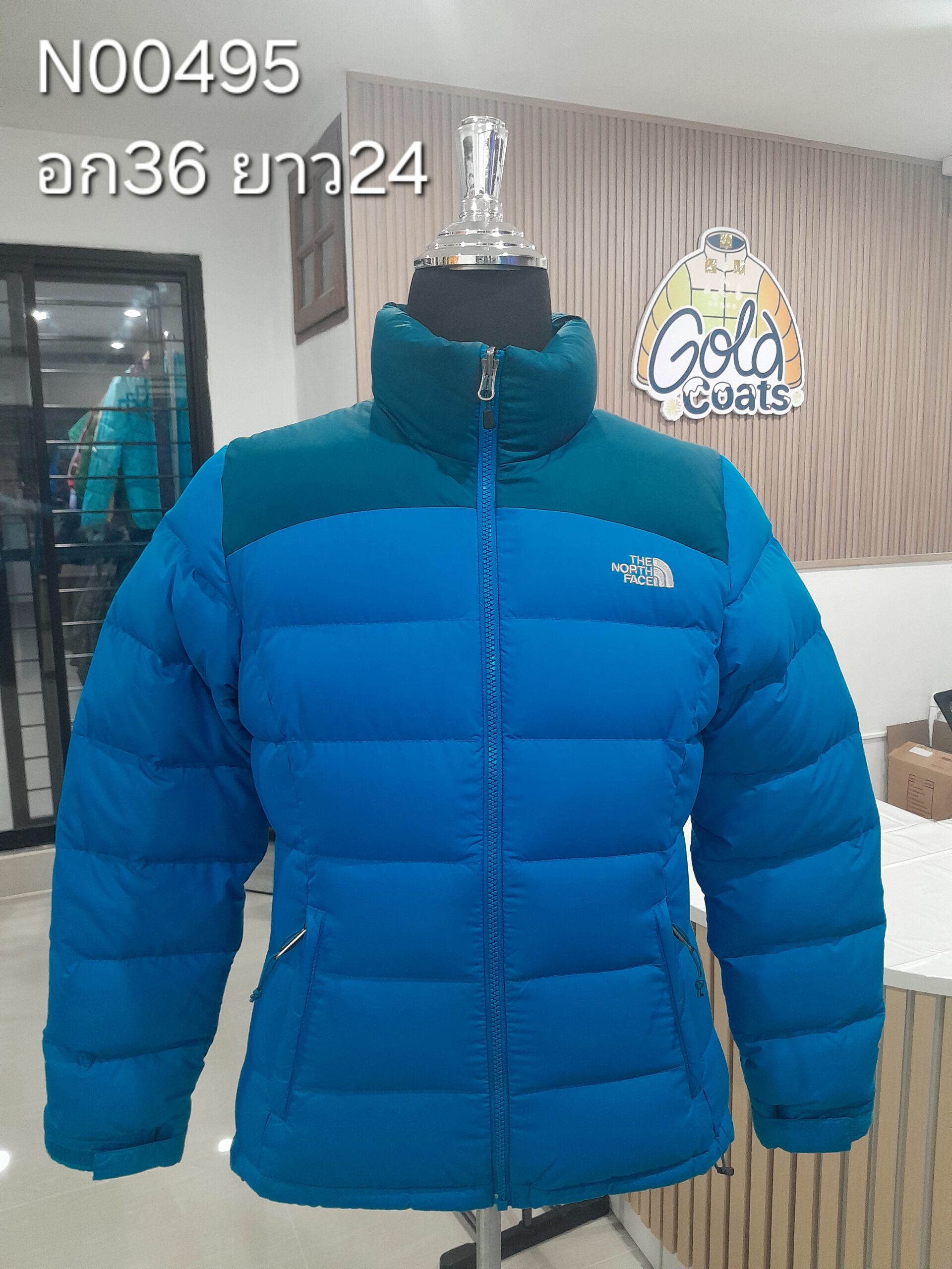 N00495 The North face