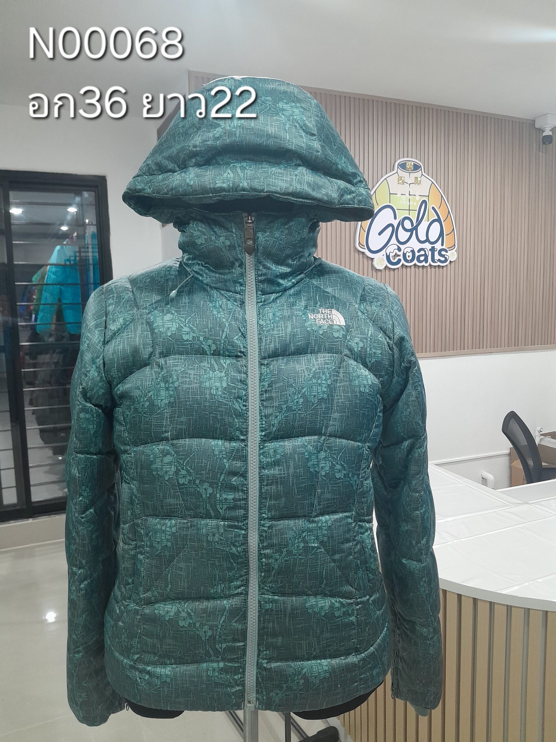 N00068 The North face