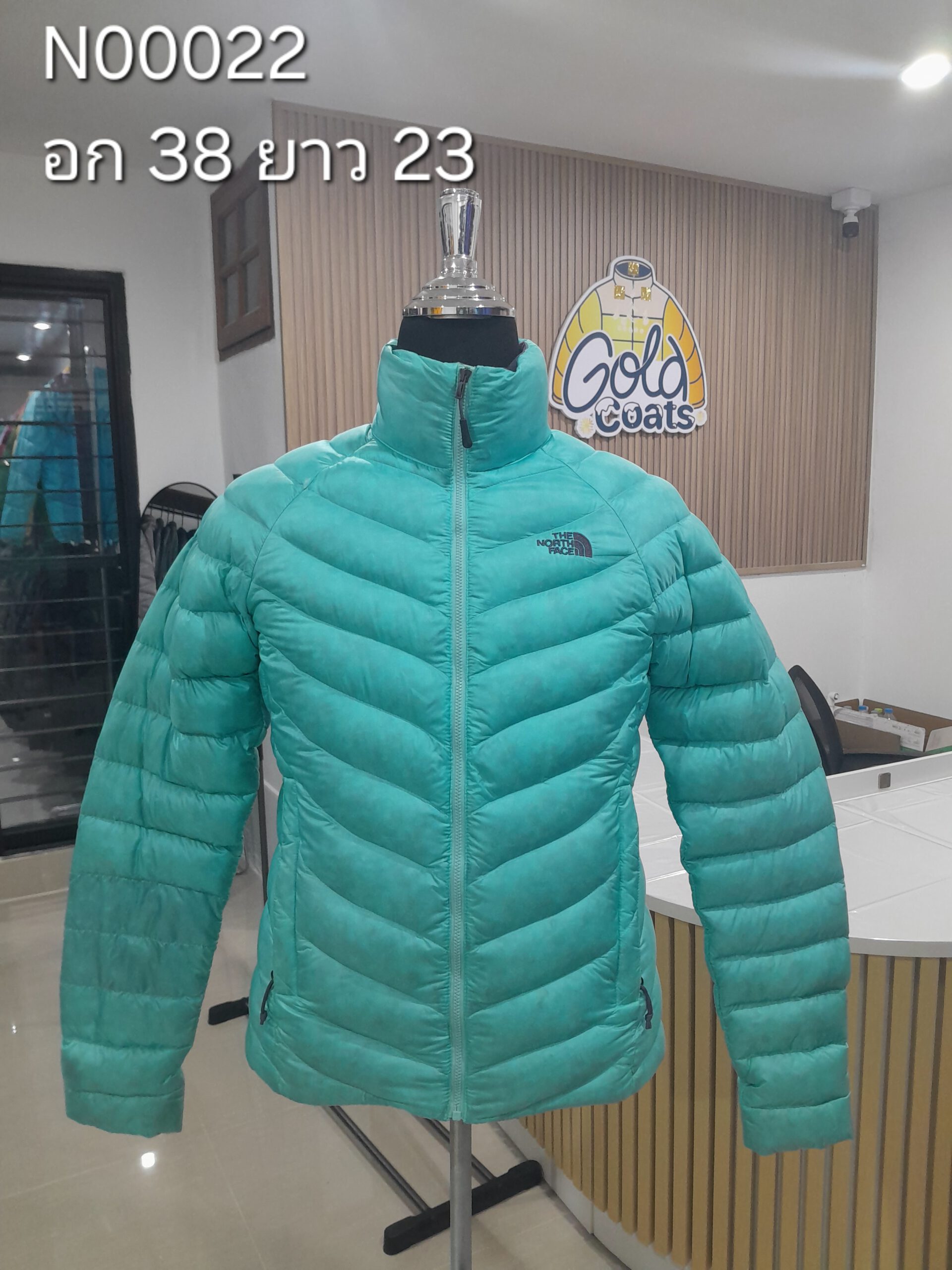 N00022 The North face