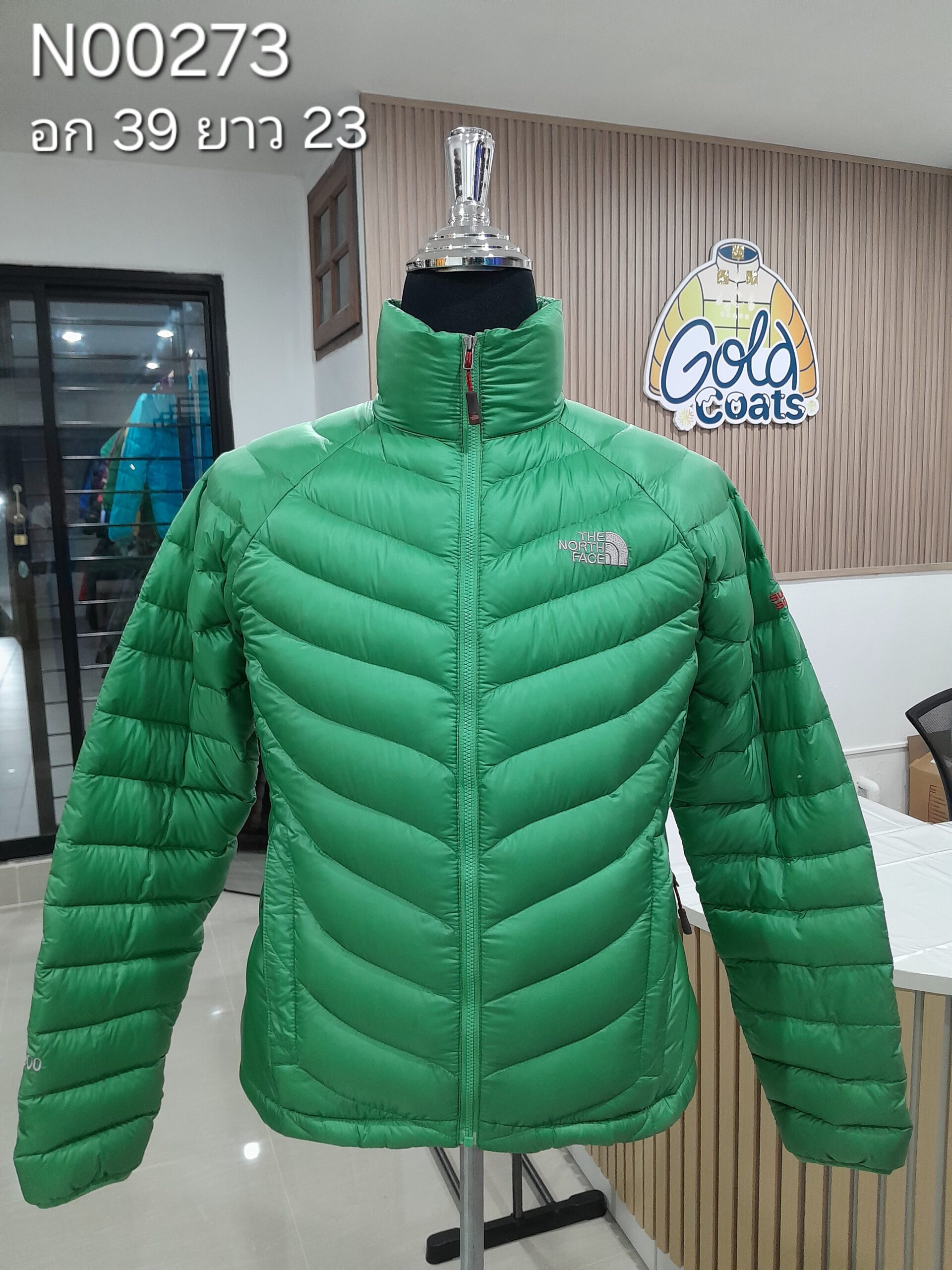 N00273 The North face