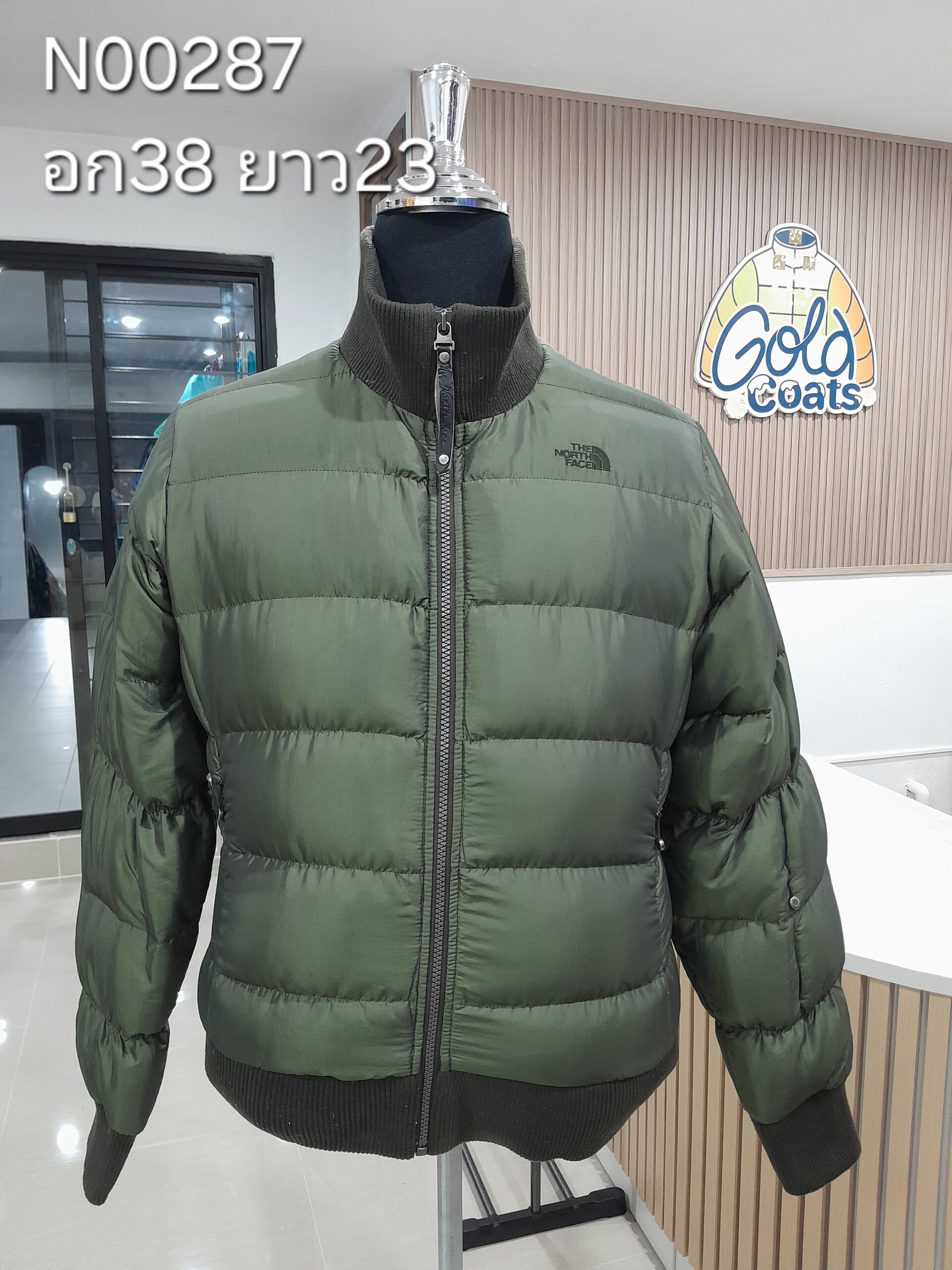 N00287 The North face