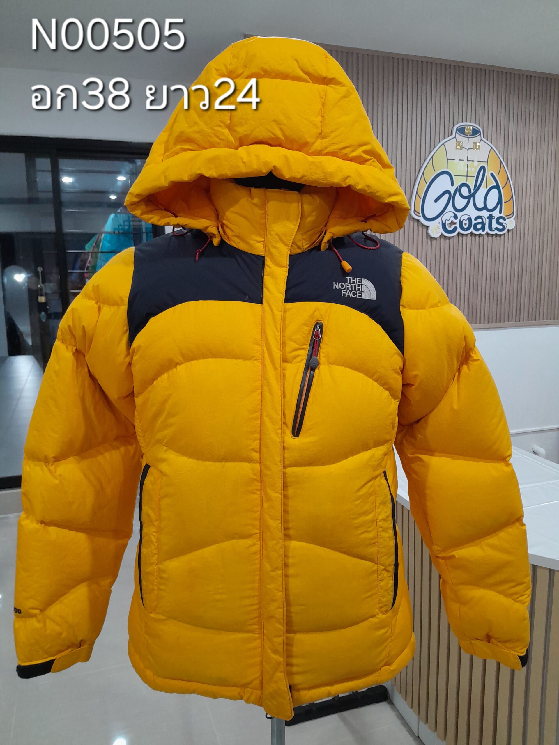 N00505 The North face