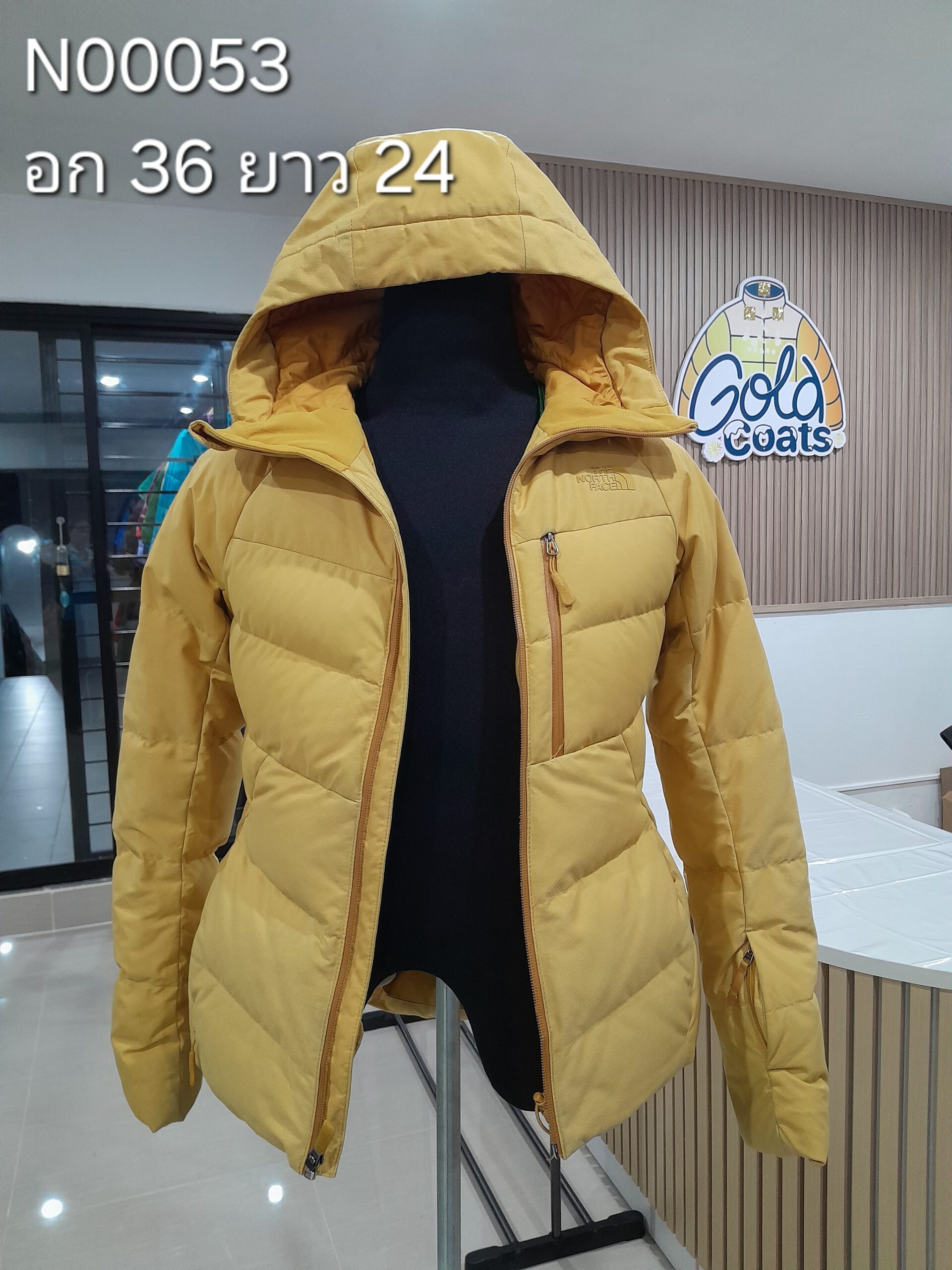 N00053 The North face