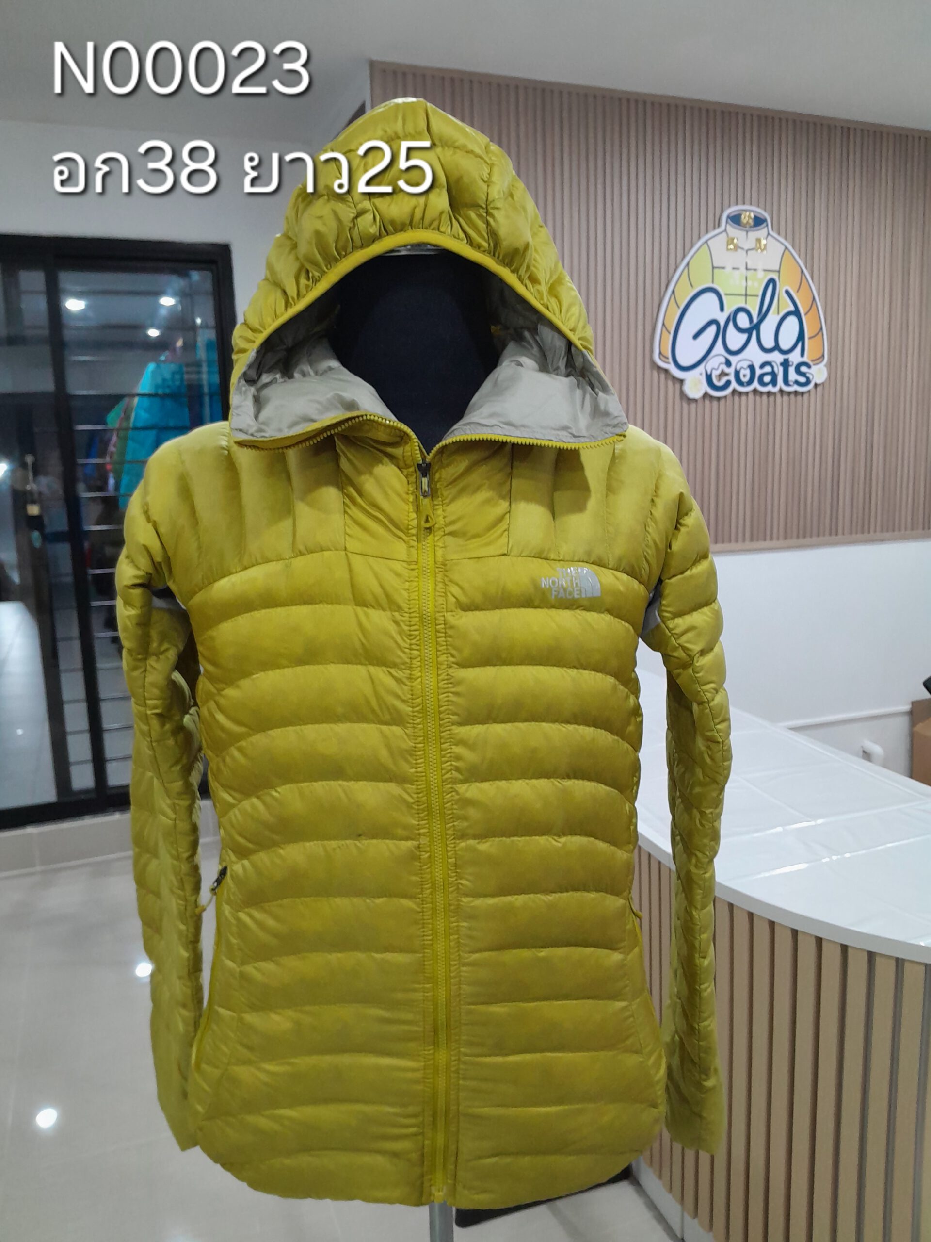 N00023 The North face