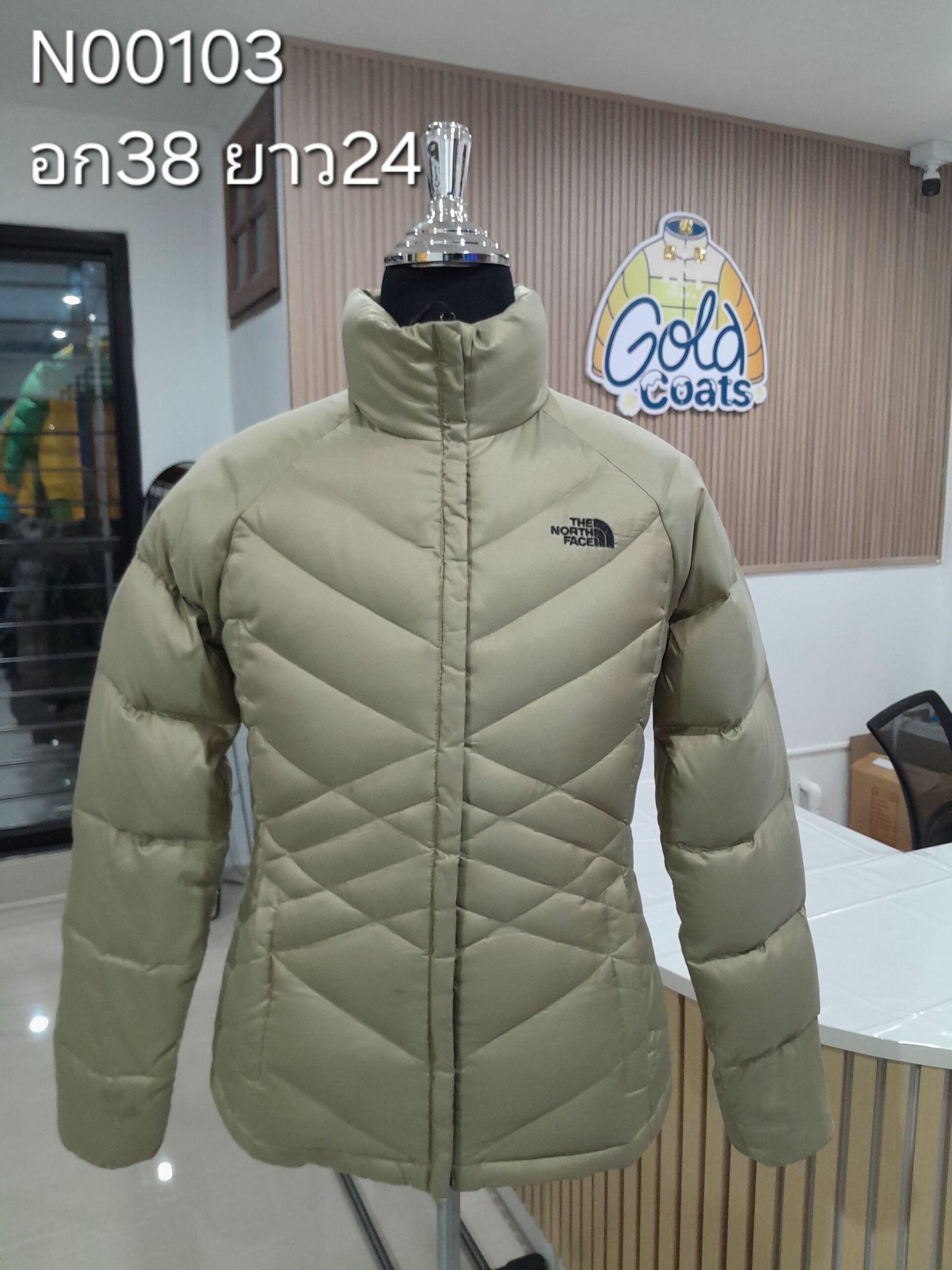 N00103 The North face