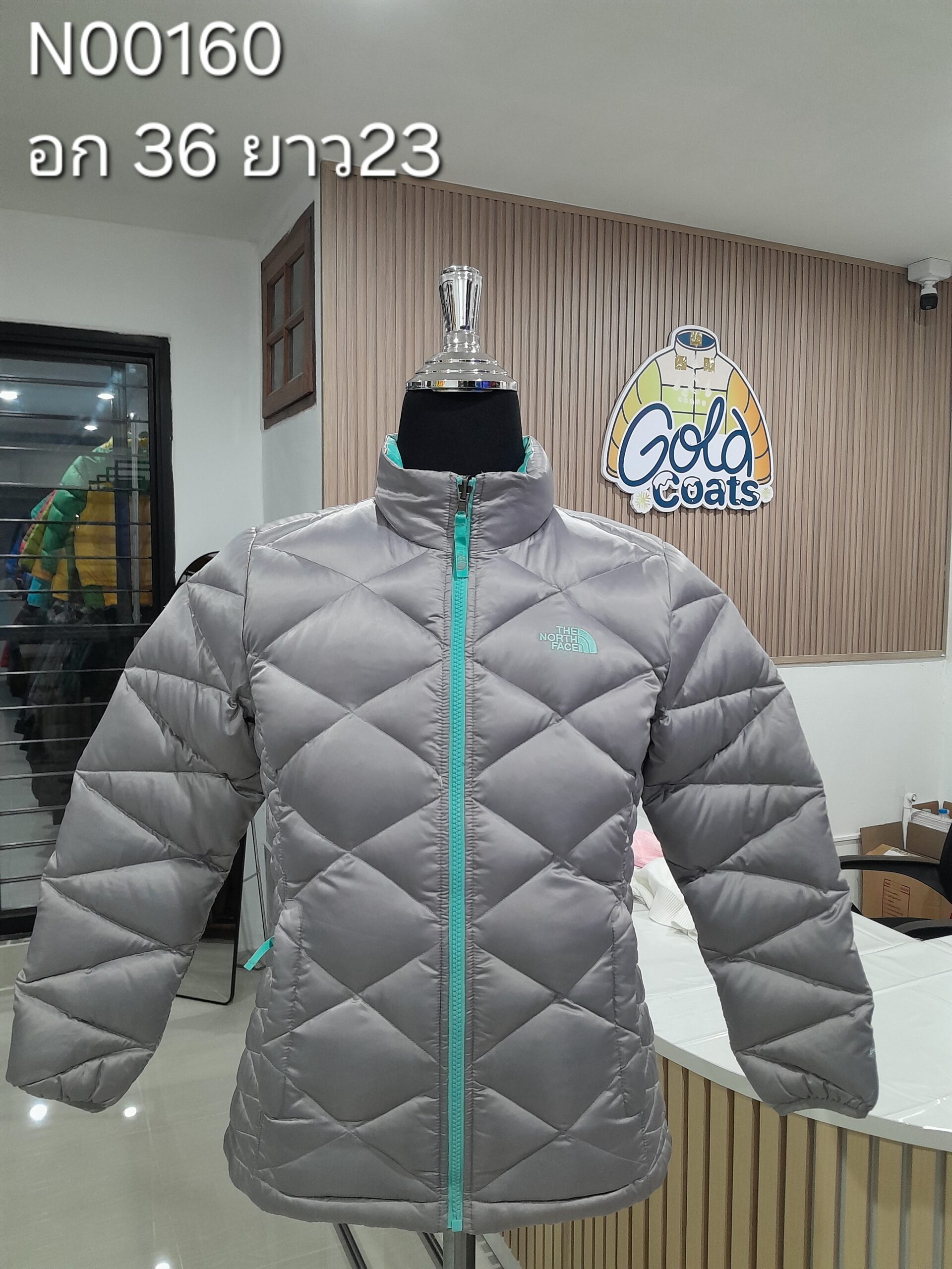 N00160 The North face