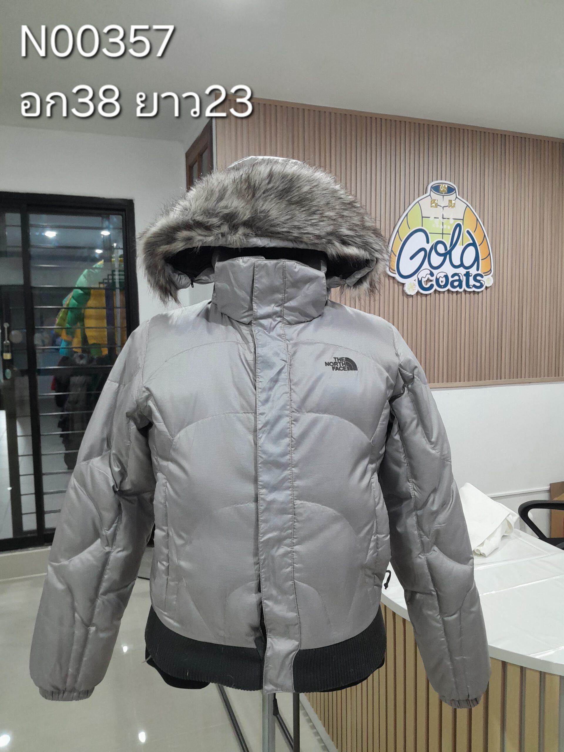 N00357 The North face