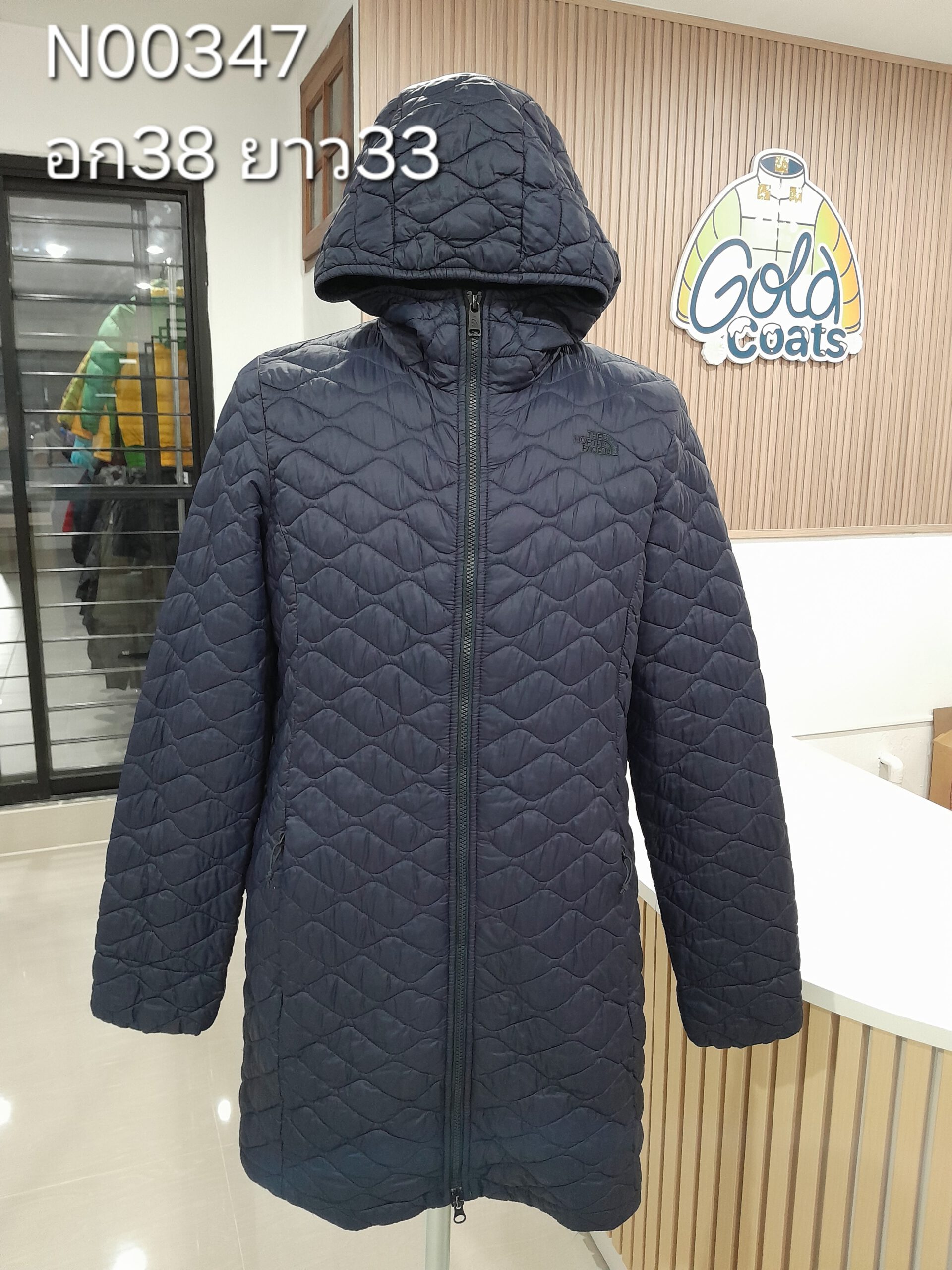 N00347 The North face