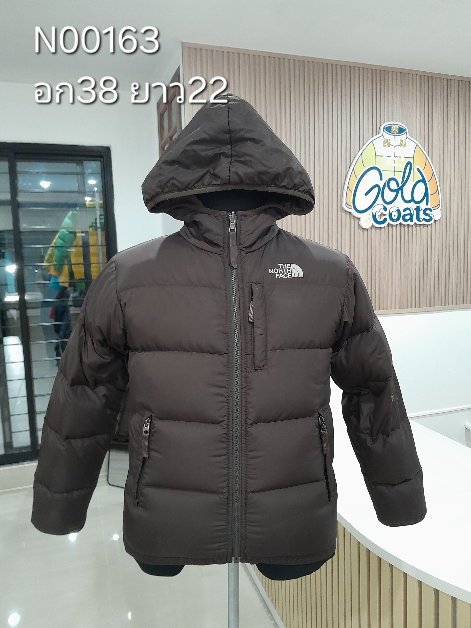 N00163 The North face