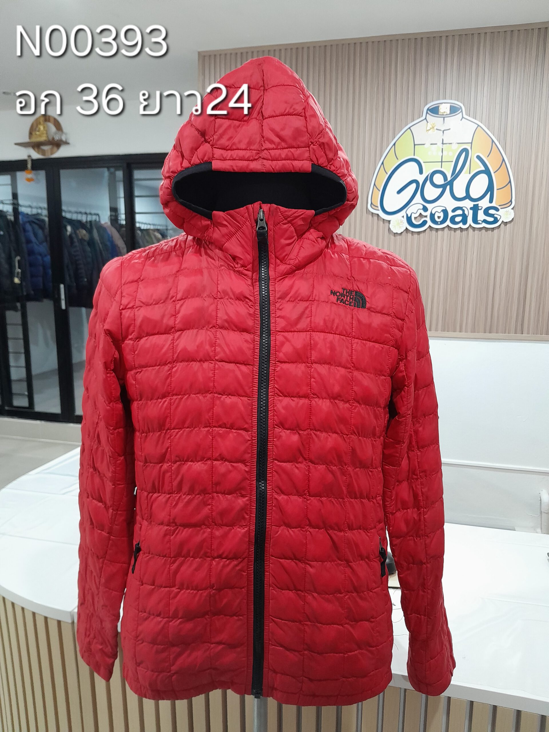 N00393 The North face