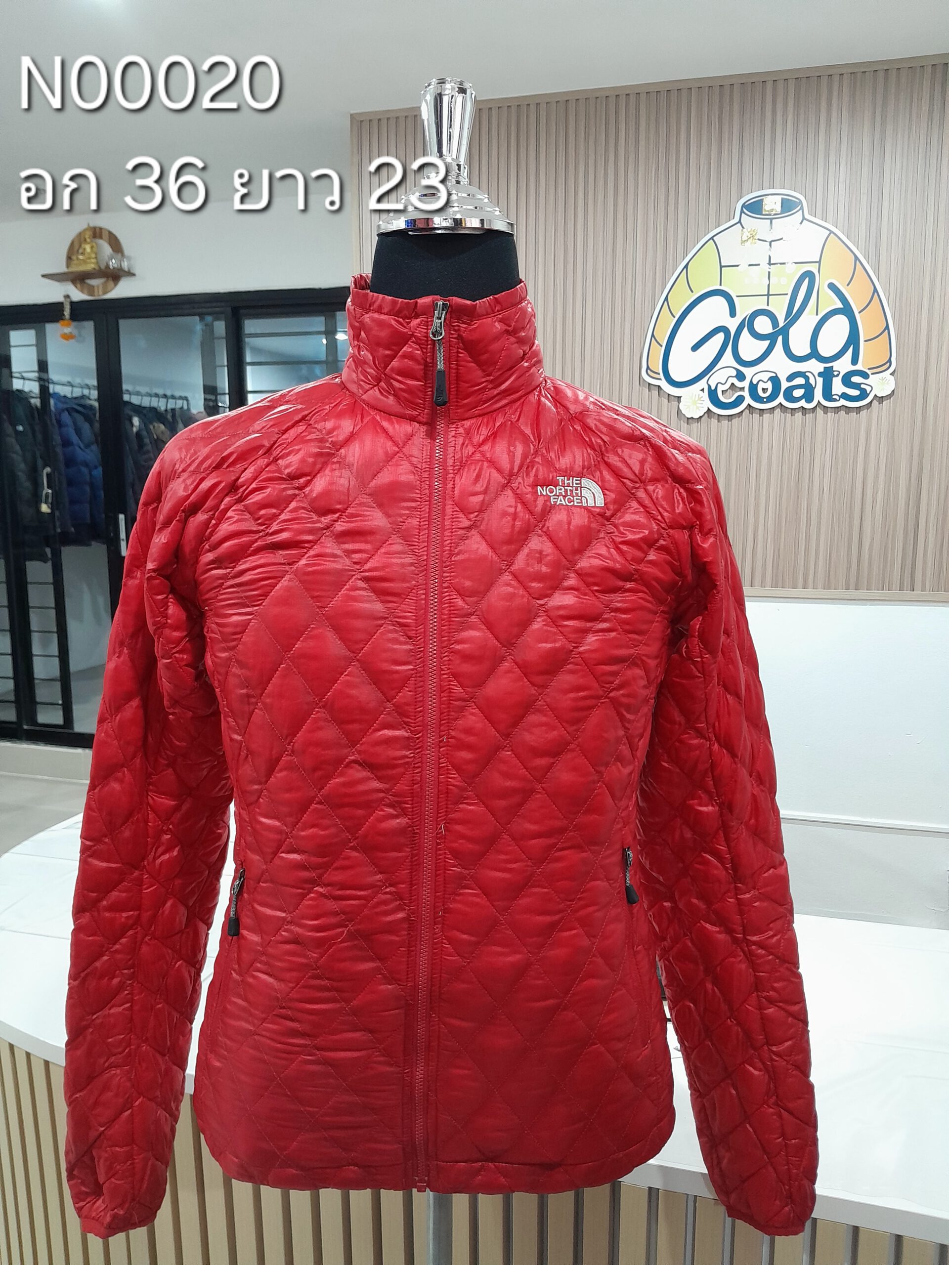 N00020 The North face