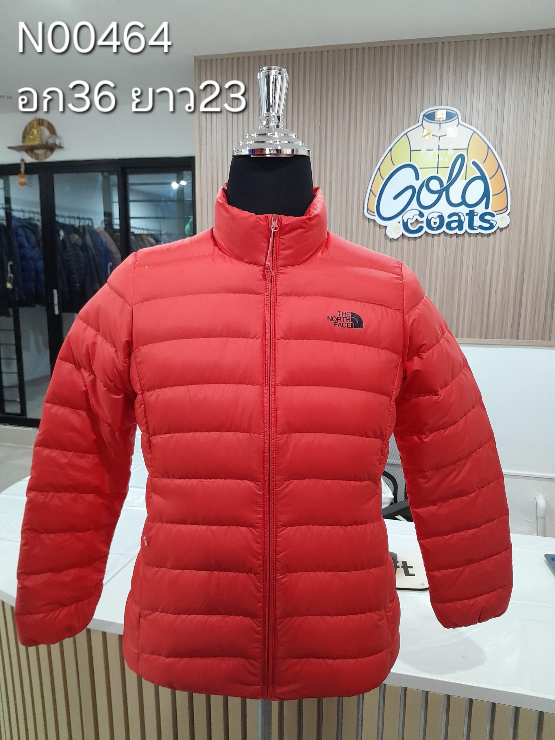 N00464 The North face