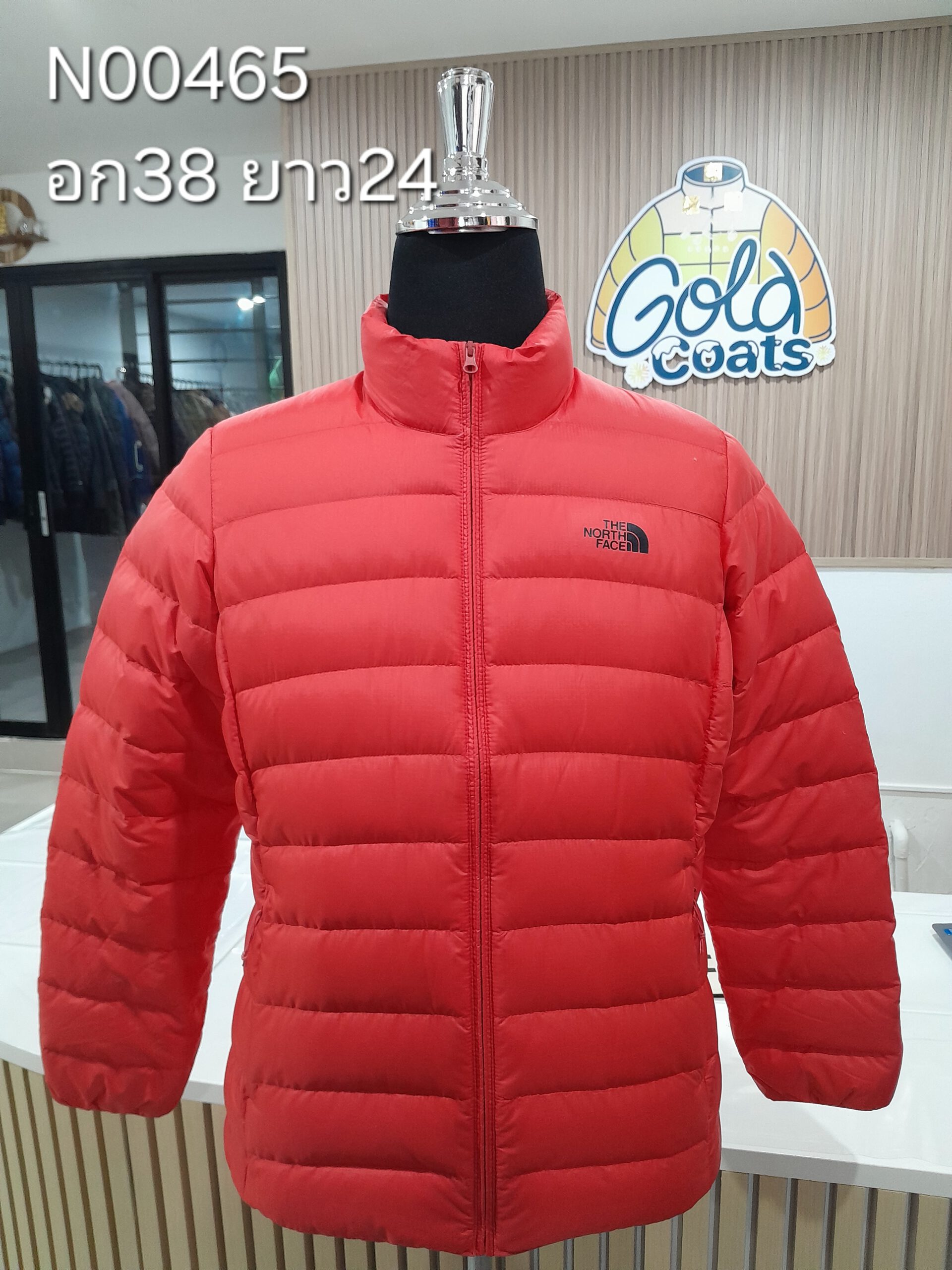 N00466 The North face